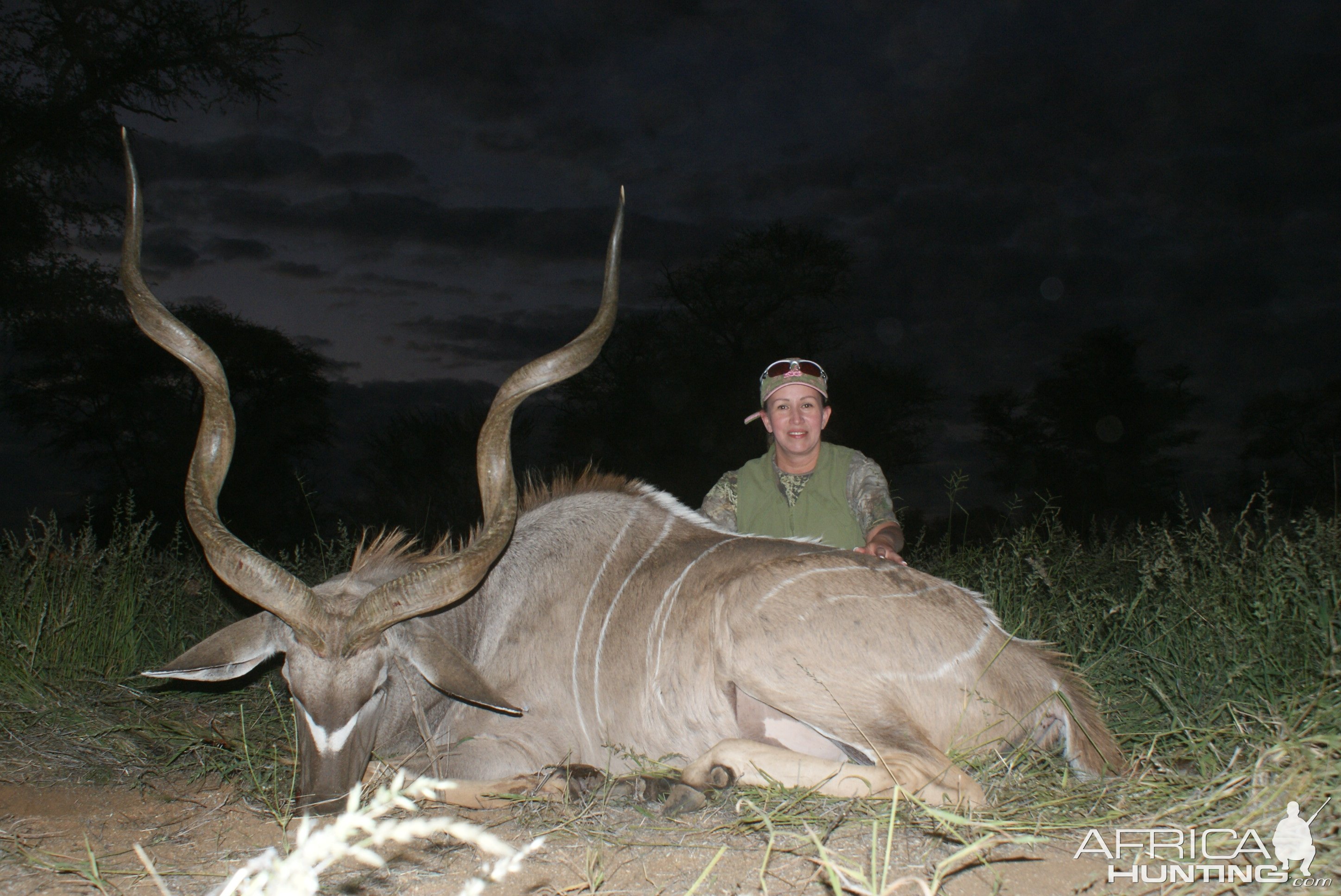 Kudu Hunt Namibia