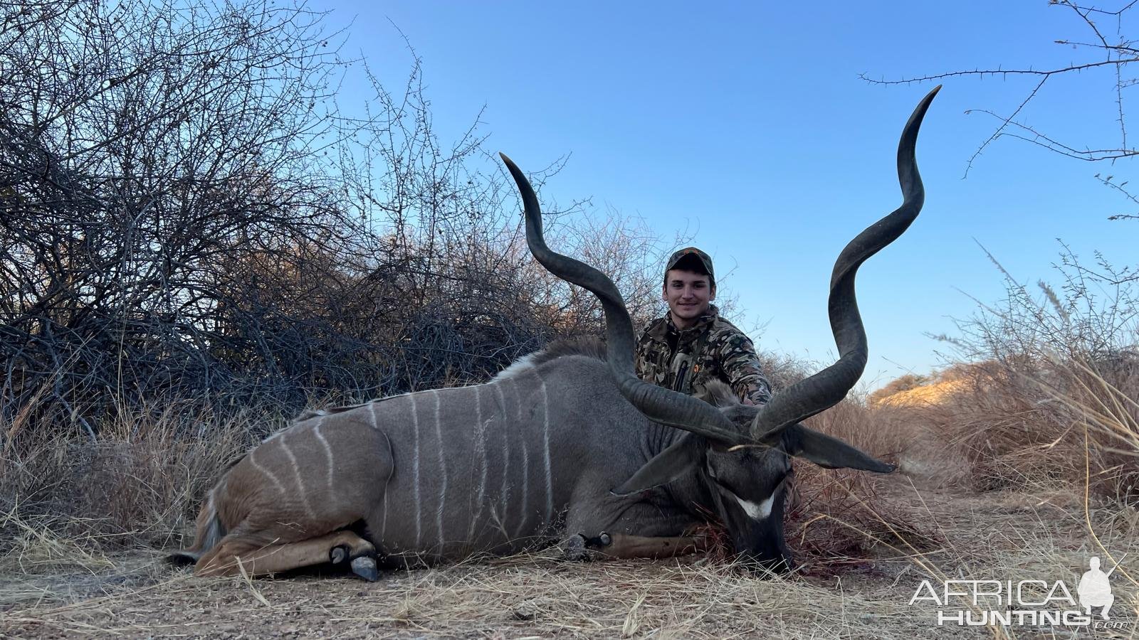 Kudu Hunt Namibia