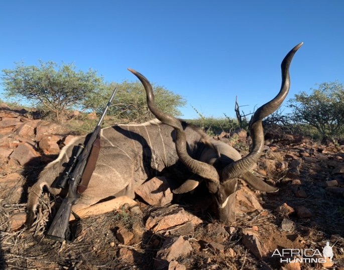 Kudu Hunt Namibia