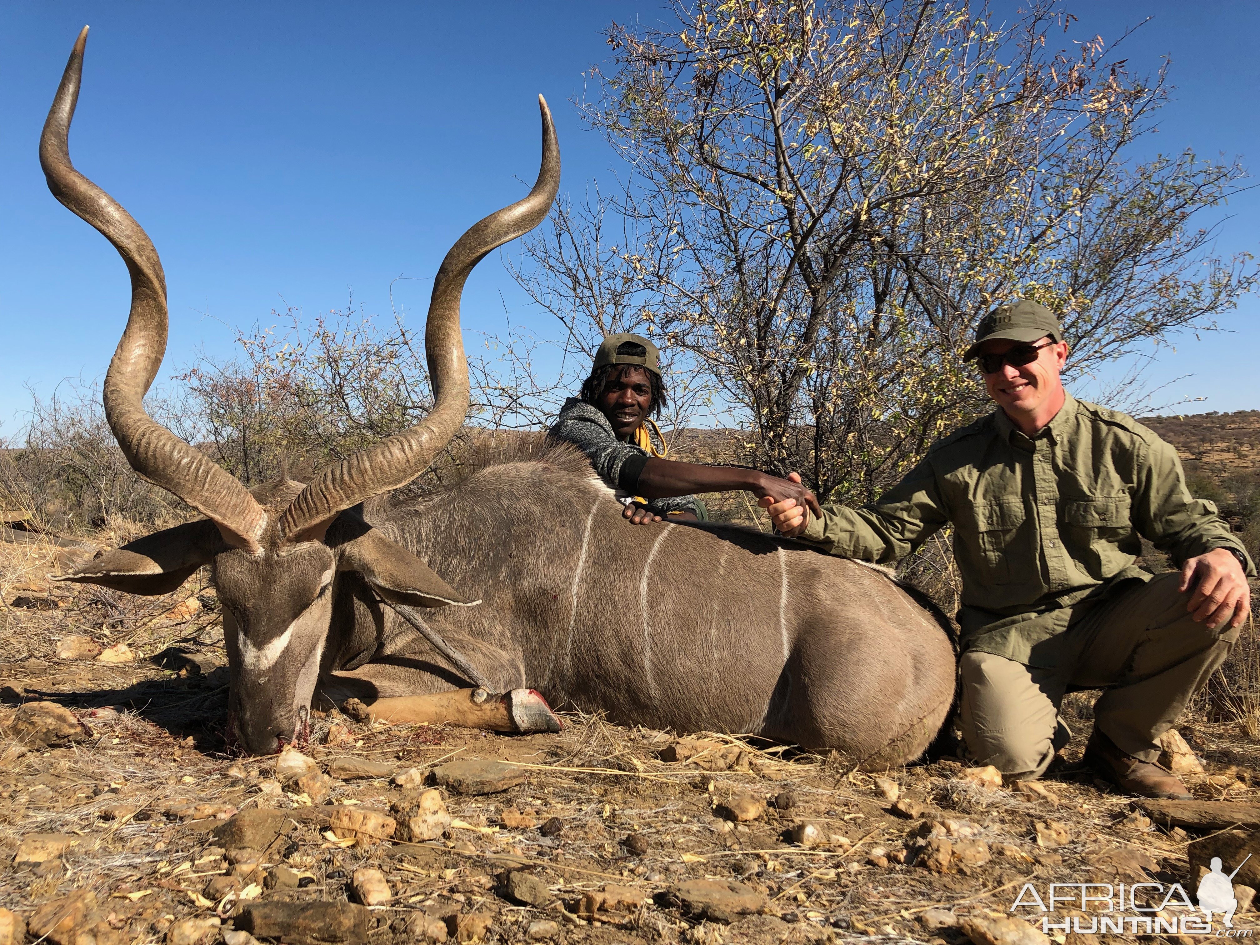 Kudu Hunt Namibia