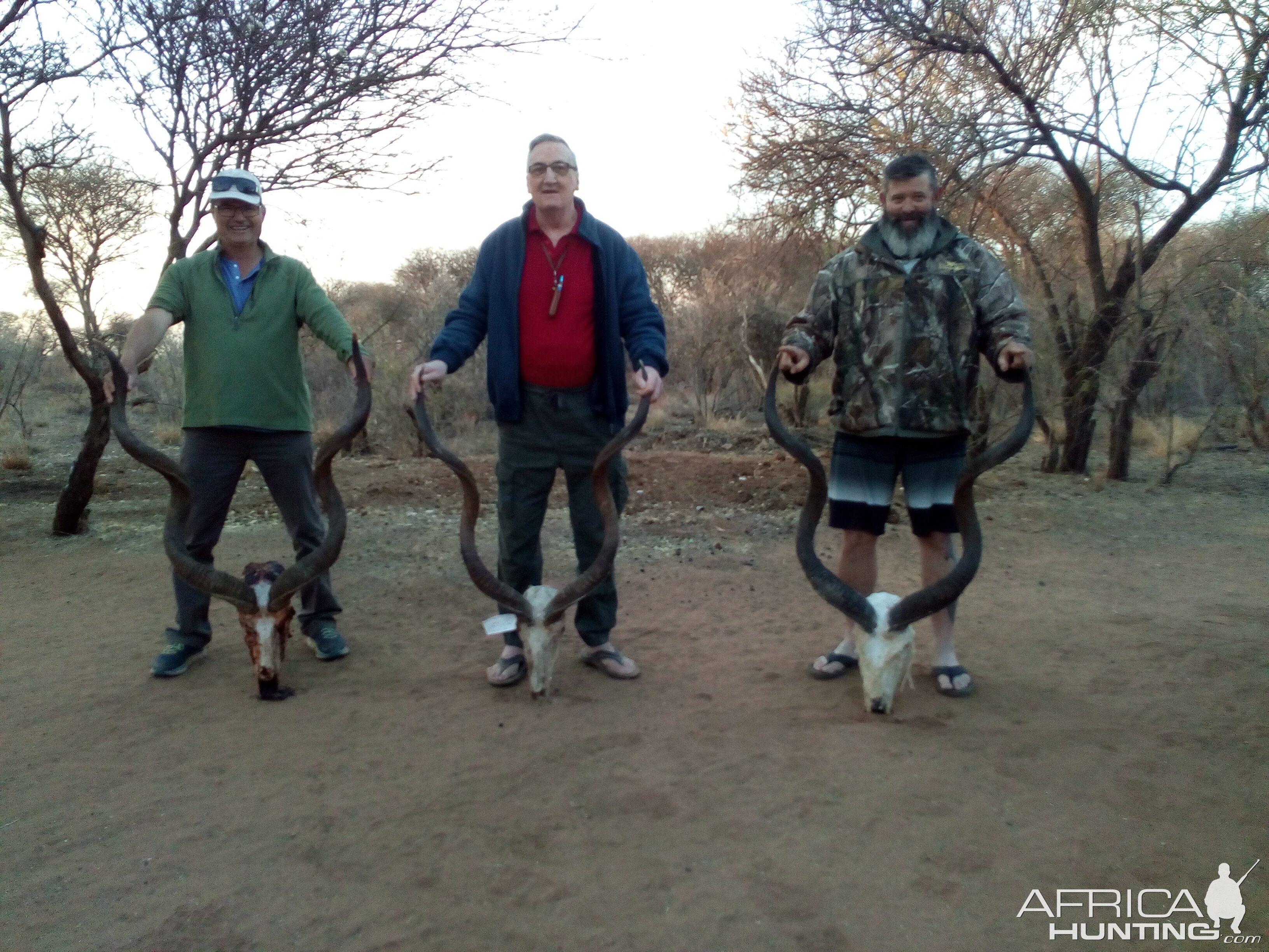 Kudu Hunt Namibia