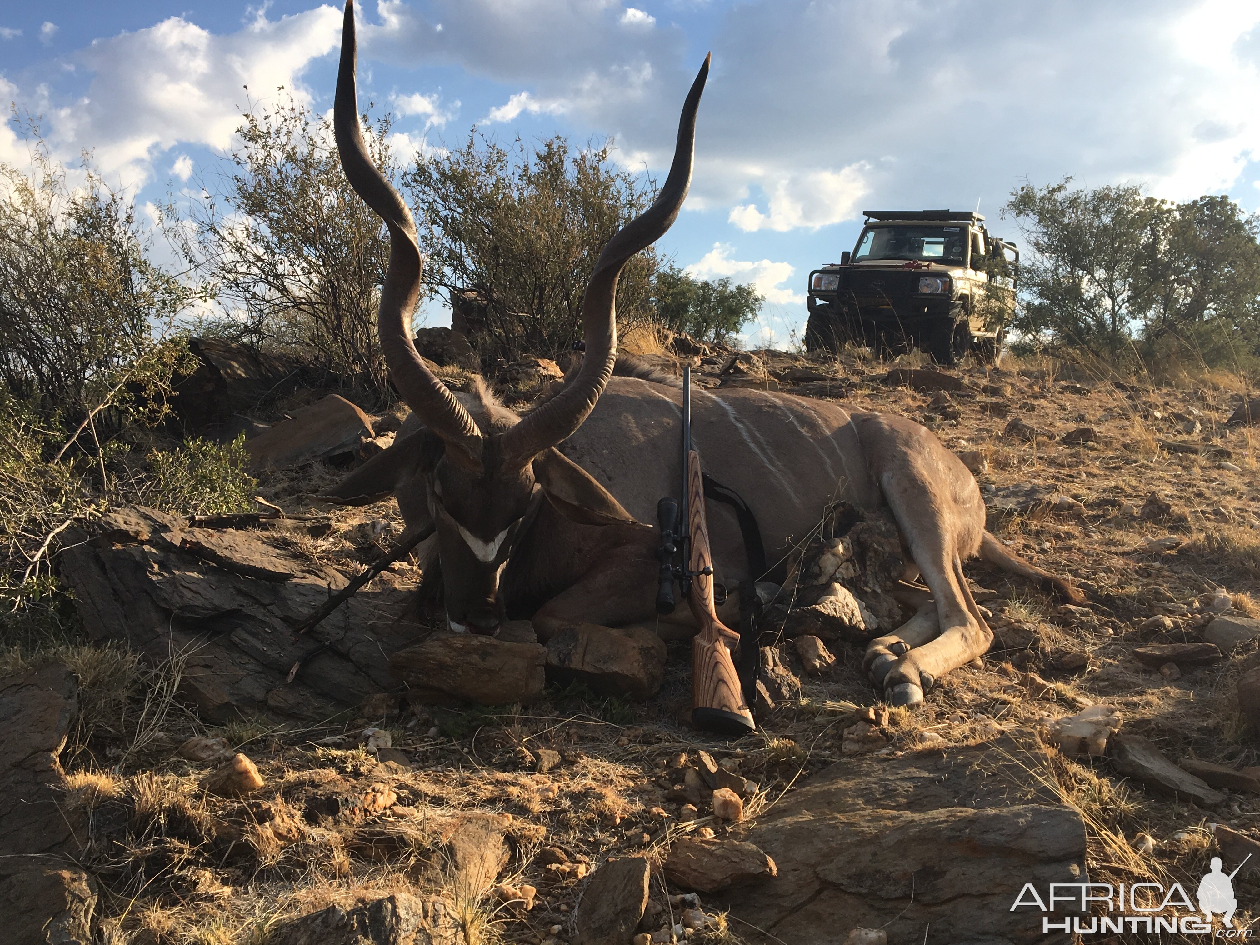 Kudu Hunt Namibia