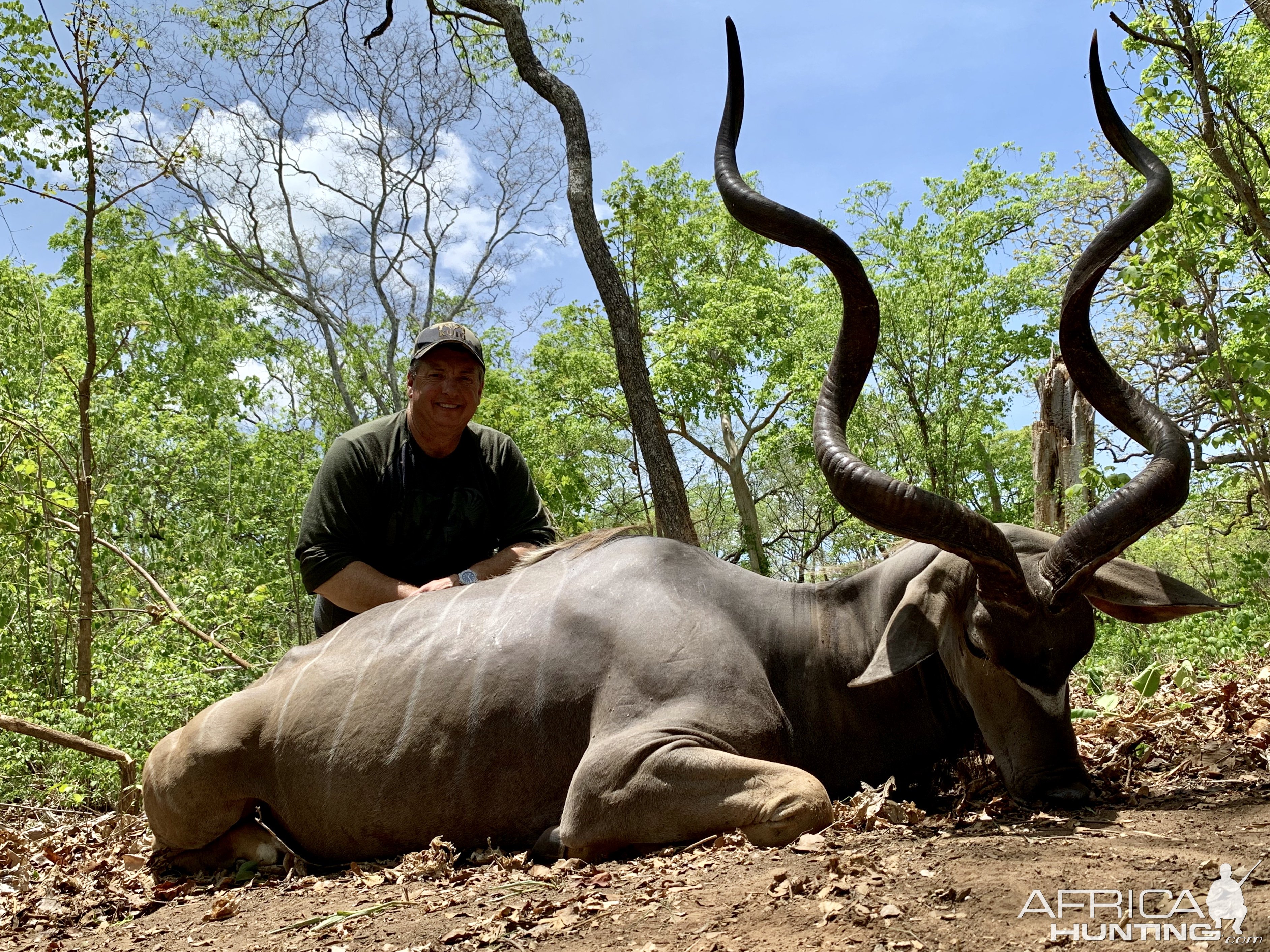 Kudu Hunt Niassa Mozambique