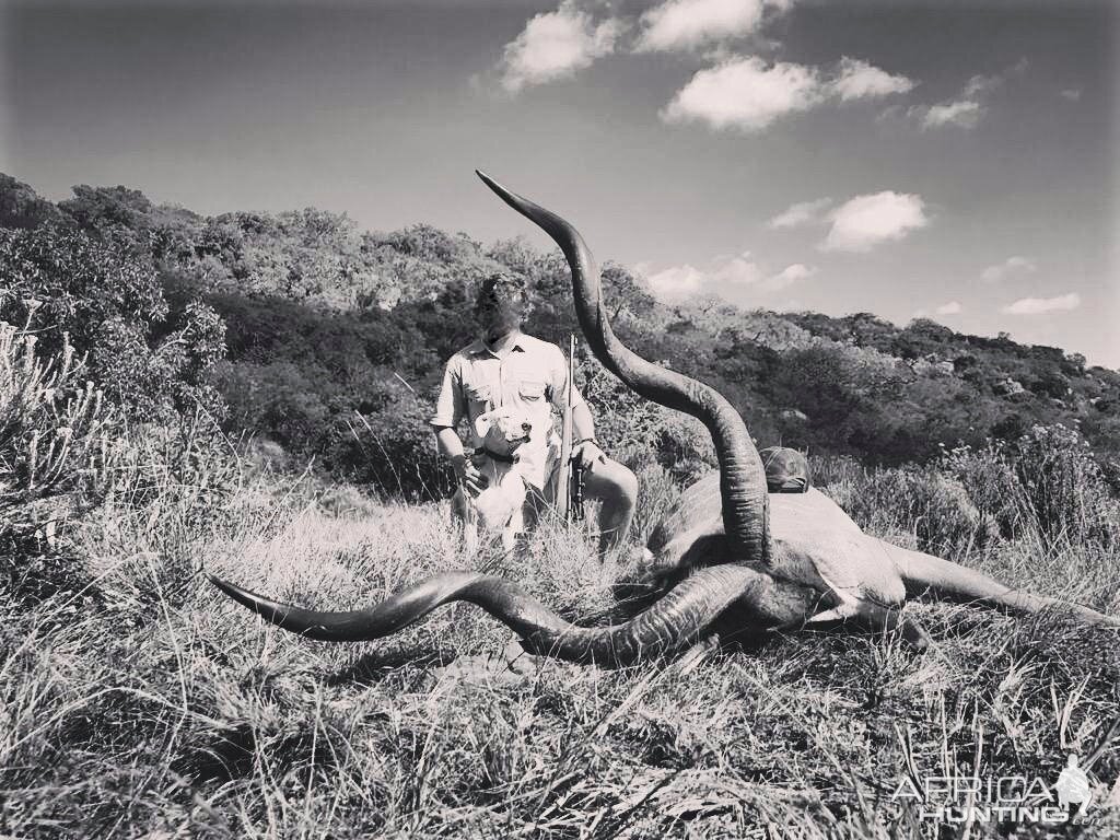 Kudu Hunt South Africa