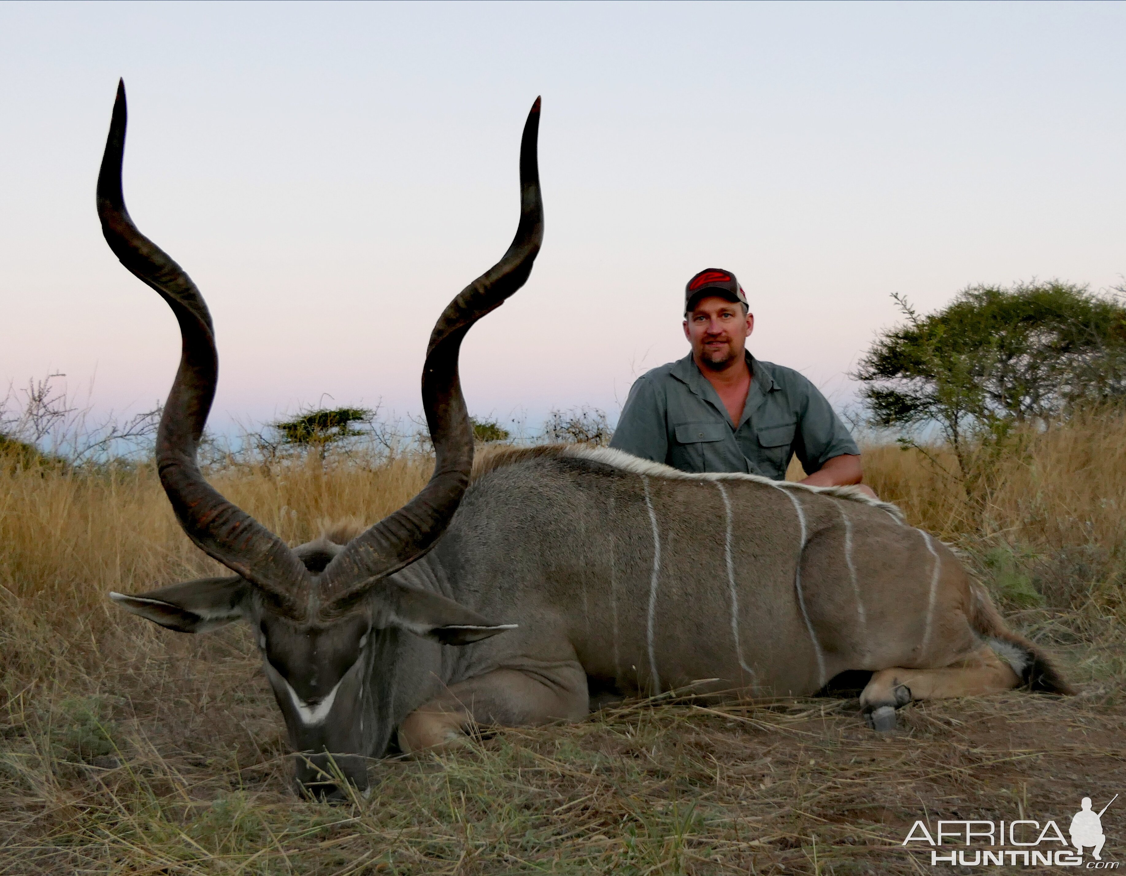 Kudu Hunt South Africa