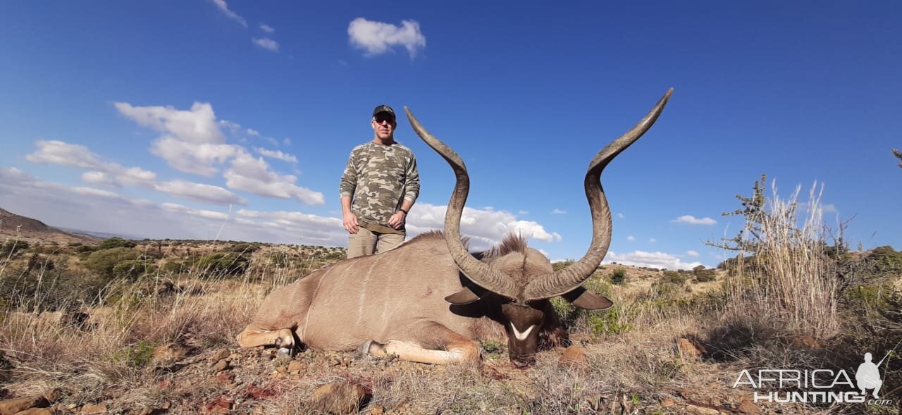 Kudu Hunt South Africa