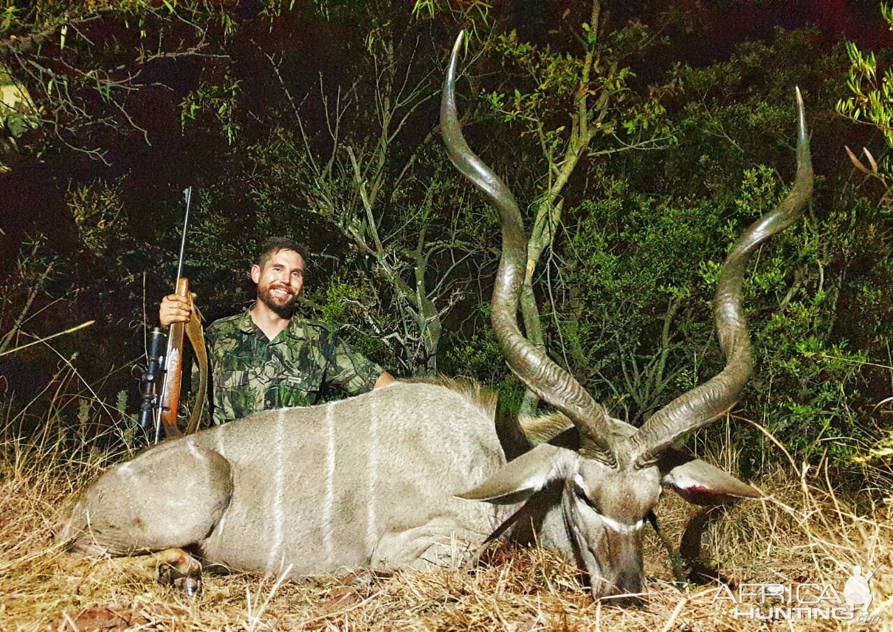 Kudu Hunt South Africa