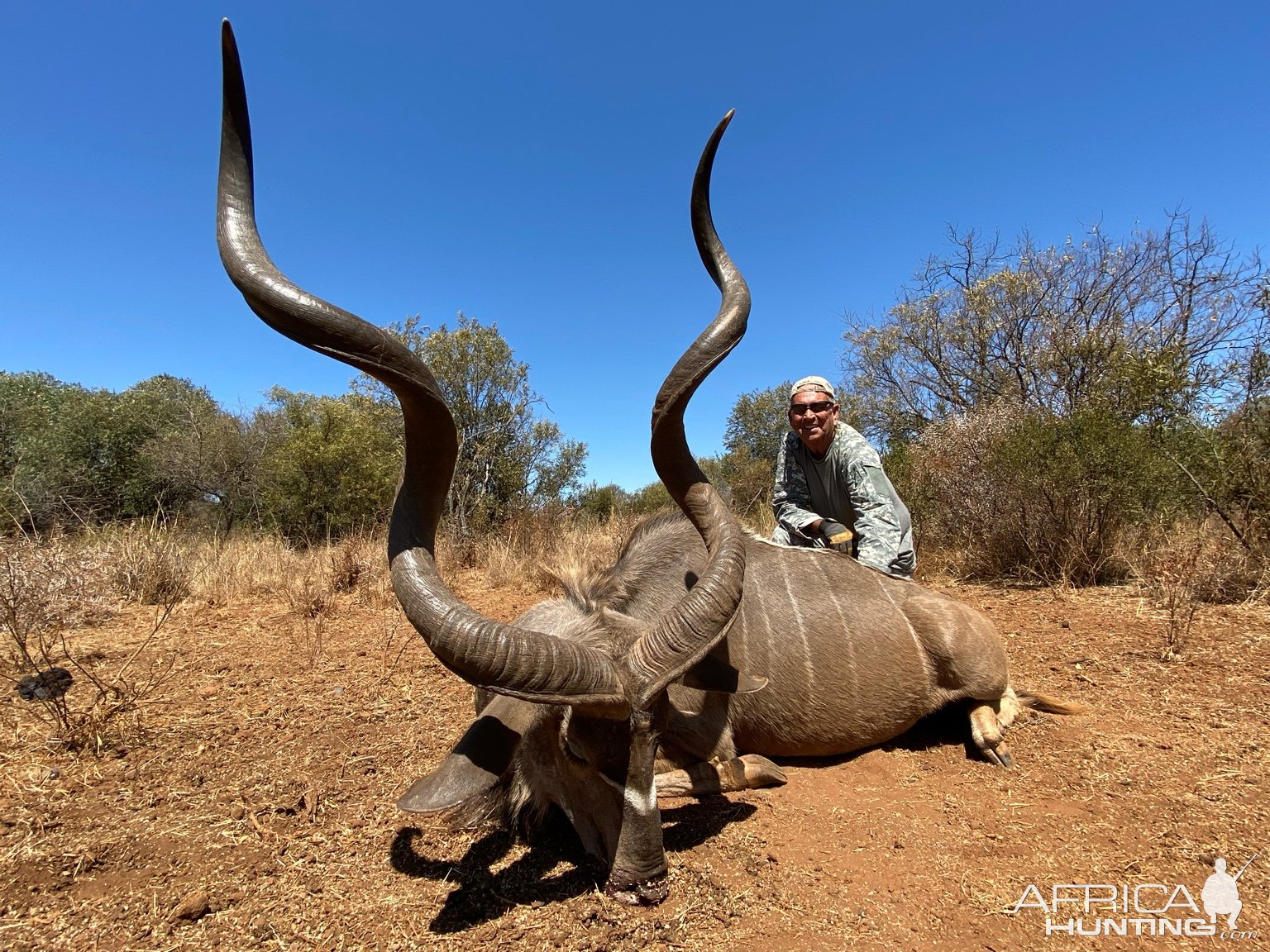 Kudu Hunt South Africa