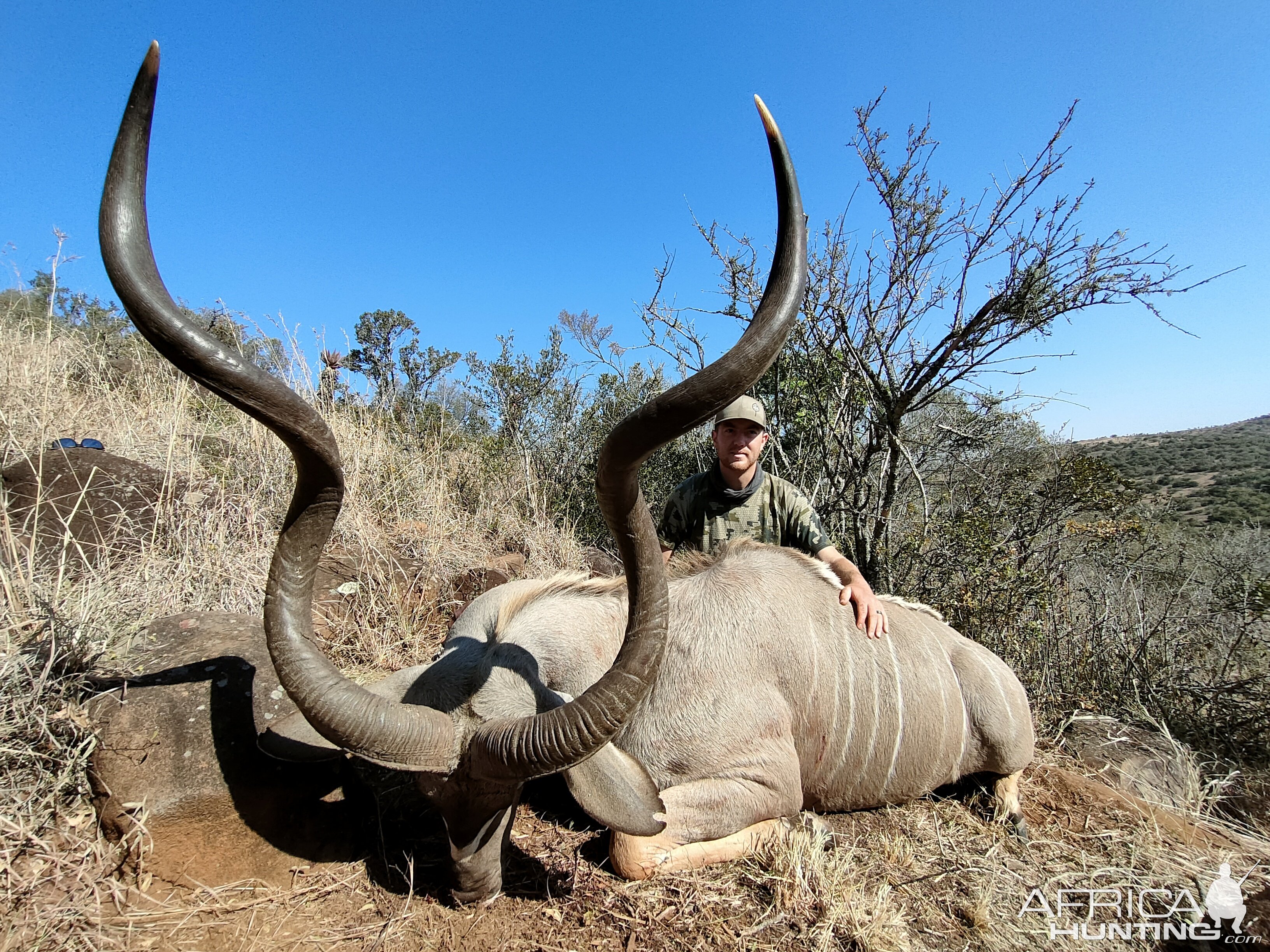 Kudu Hunt South Africa