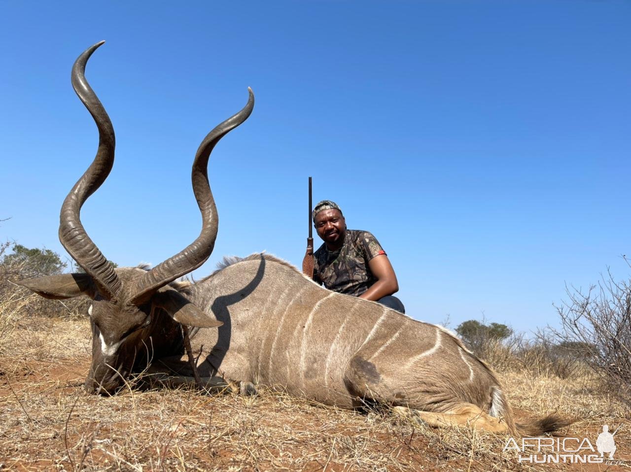 Kudu Hunt South Africa