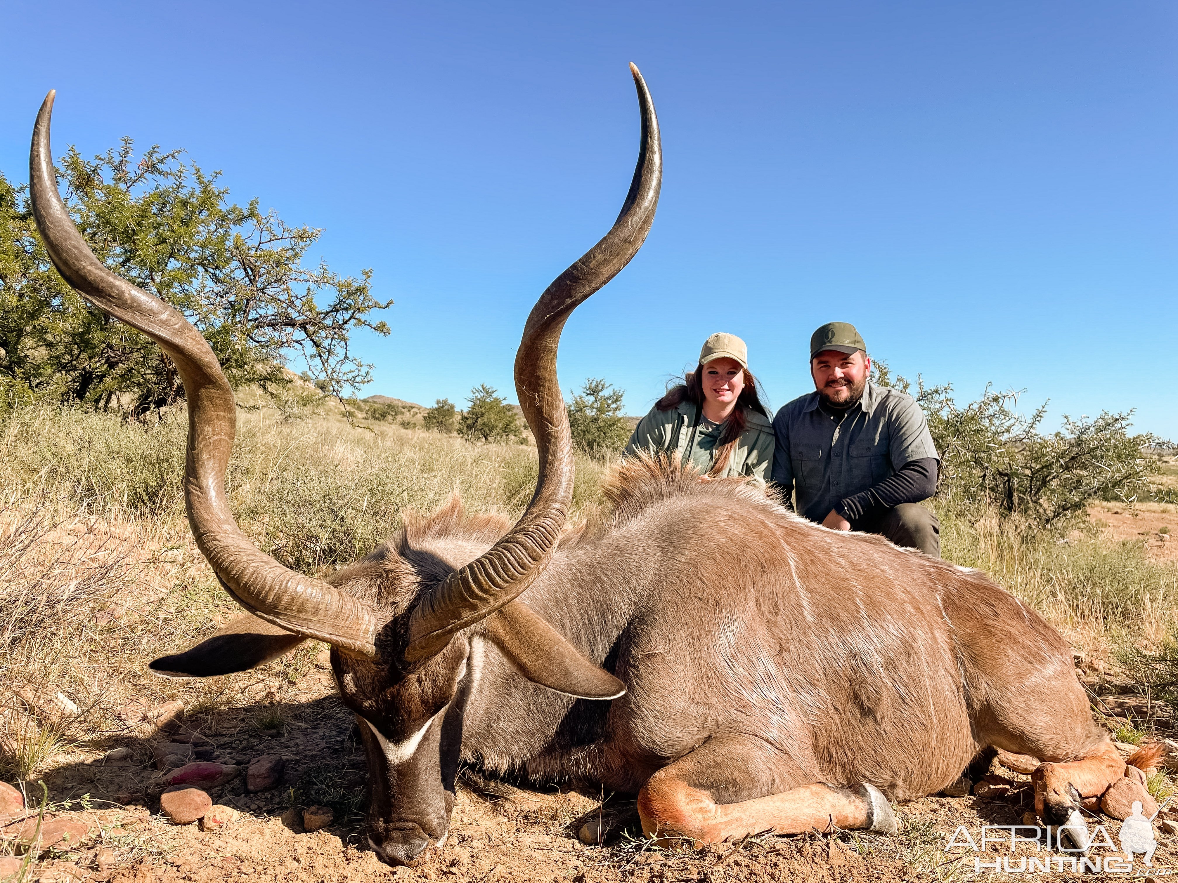 Kudu Hunt South Africa