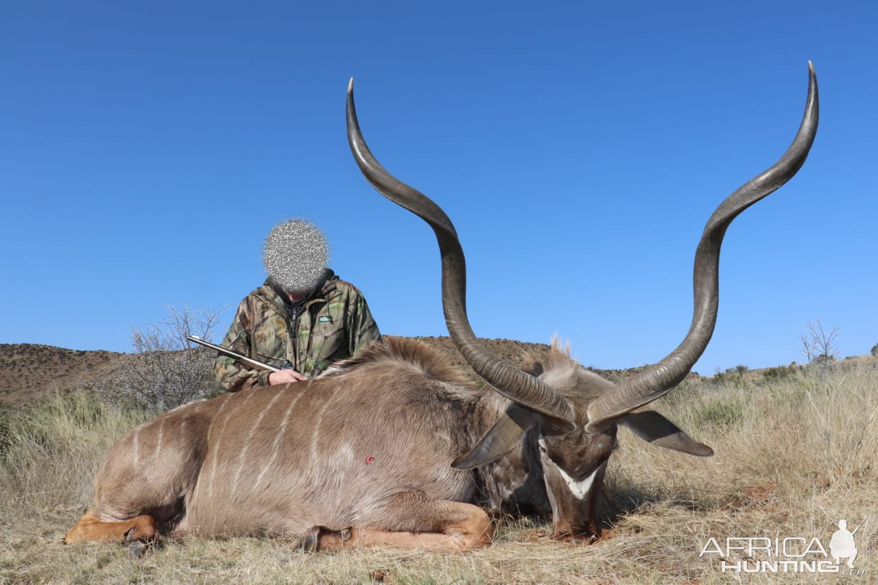 Kudu Hunt South Africa