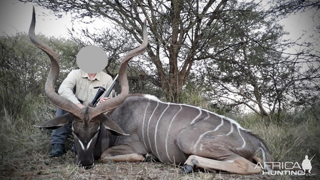 Kudu Hunt South Africa