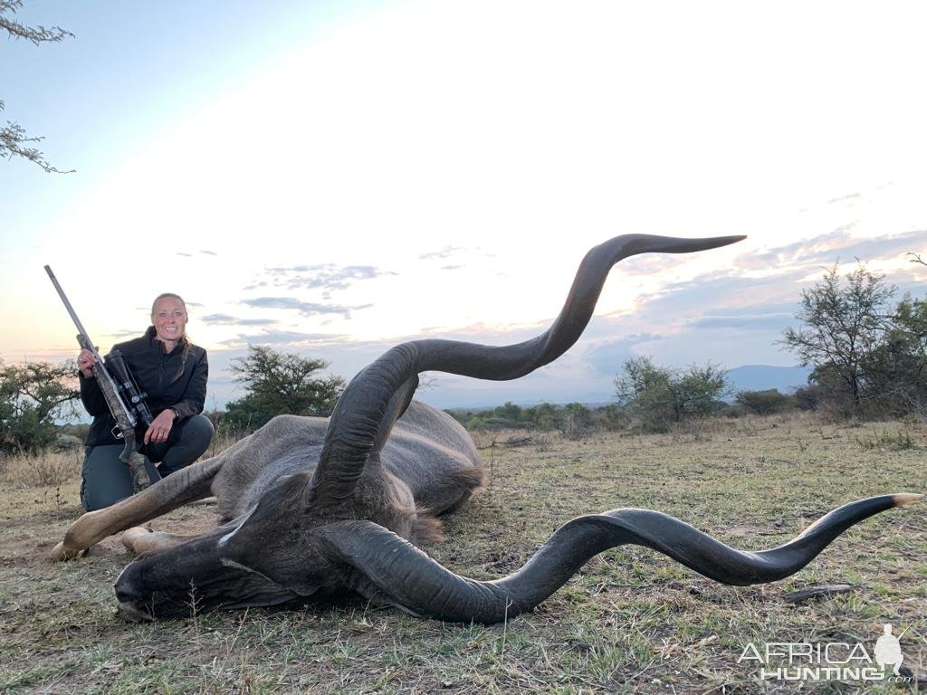 Kudu Hunt South Africa