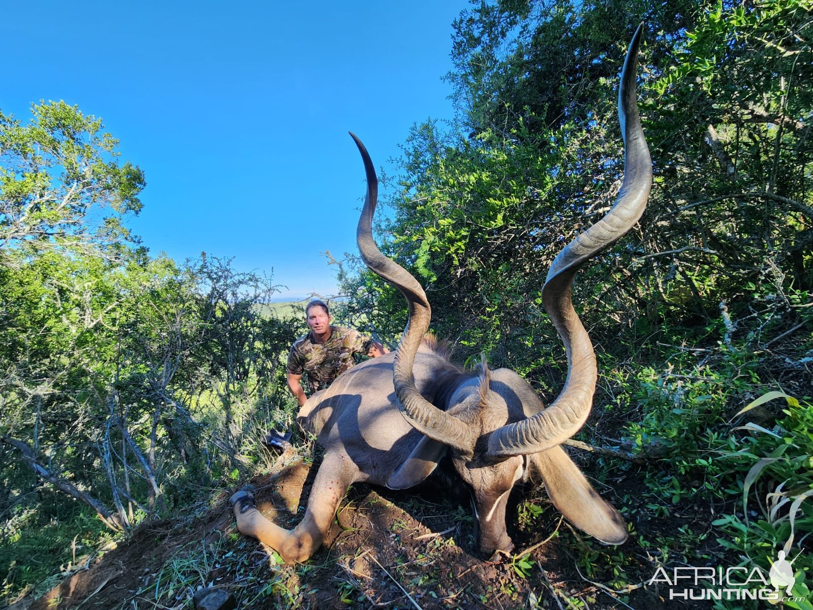 Kudu Hunt South Africa