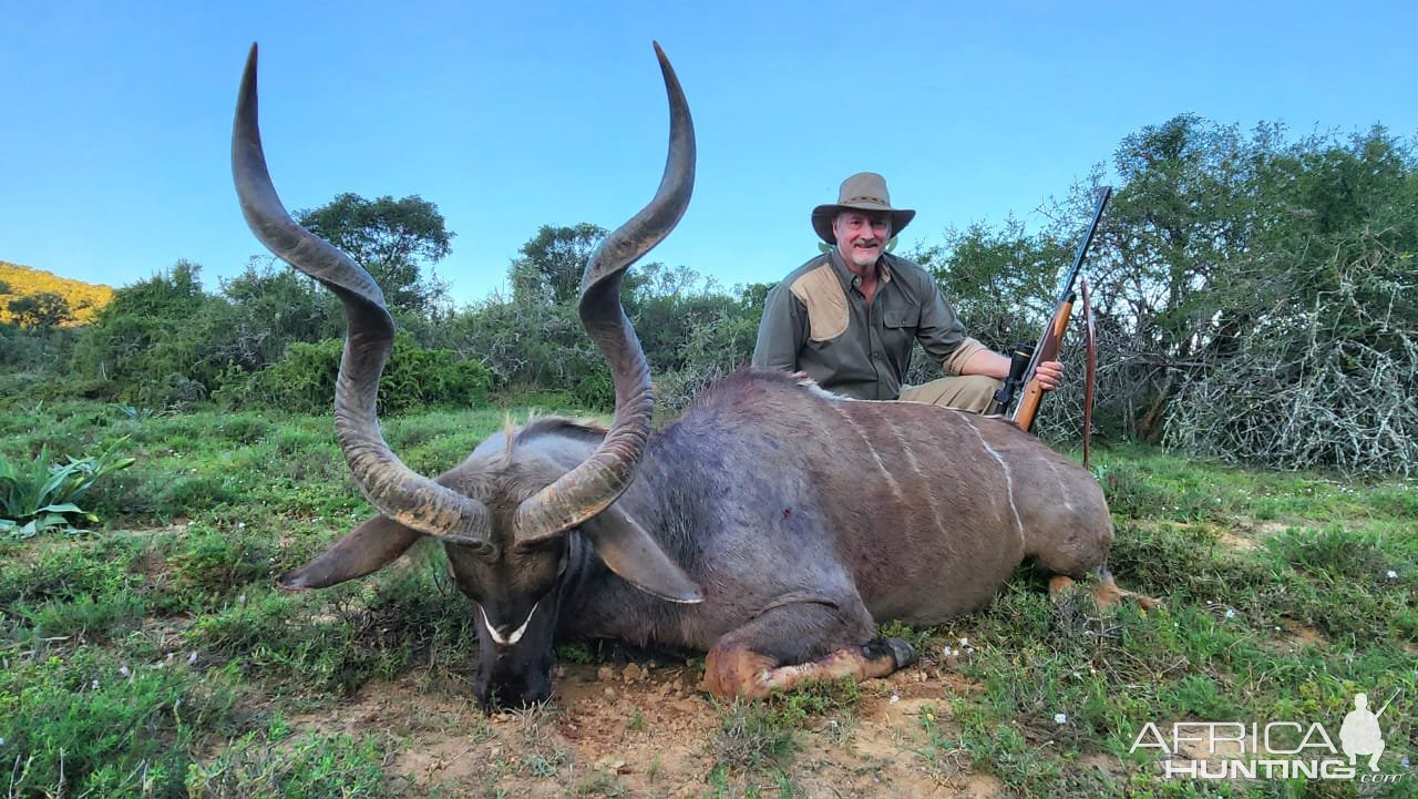 Kudu Hunt South Africa