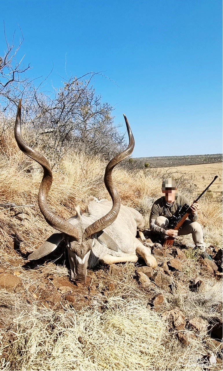 Kudu Hunt South Africa