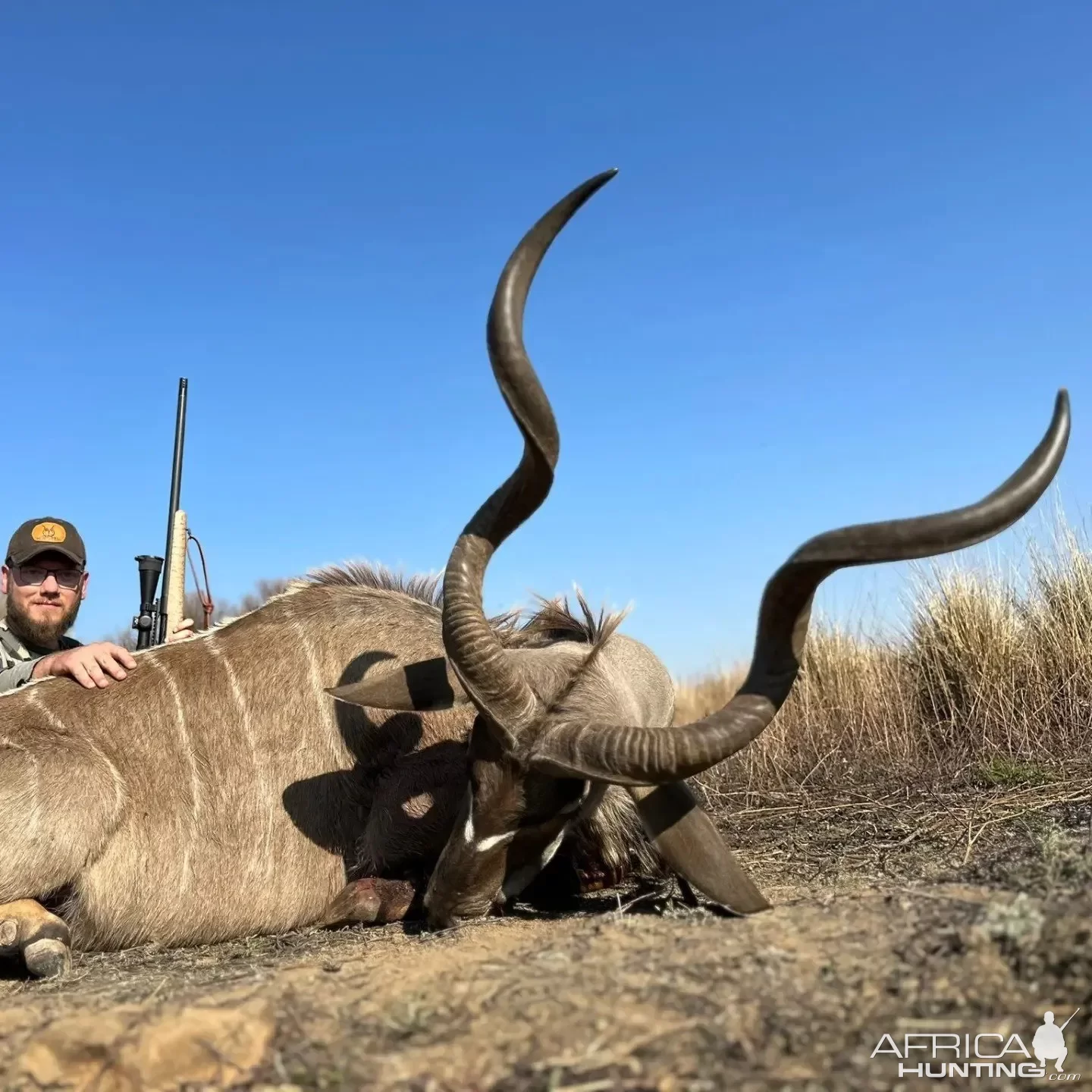 Kudu Hunt South Africa