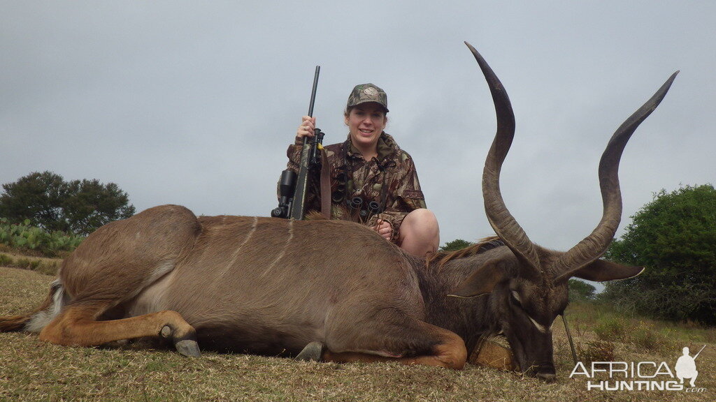 Kudu Hunt South Africa