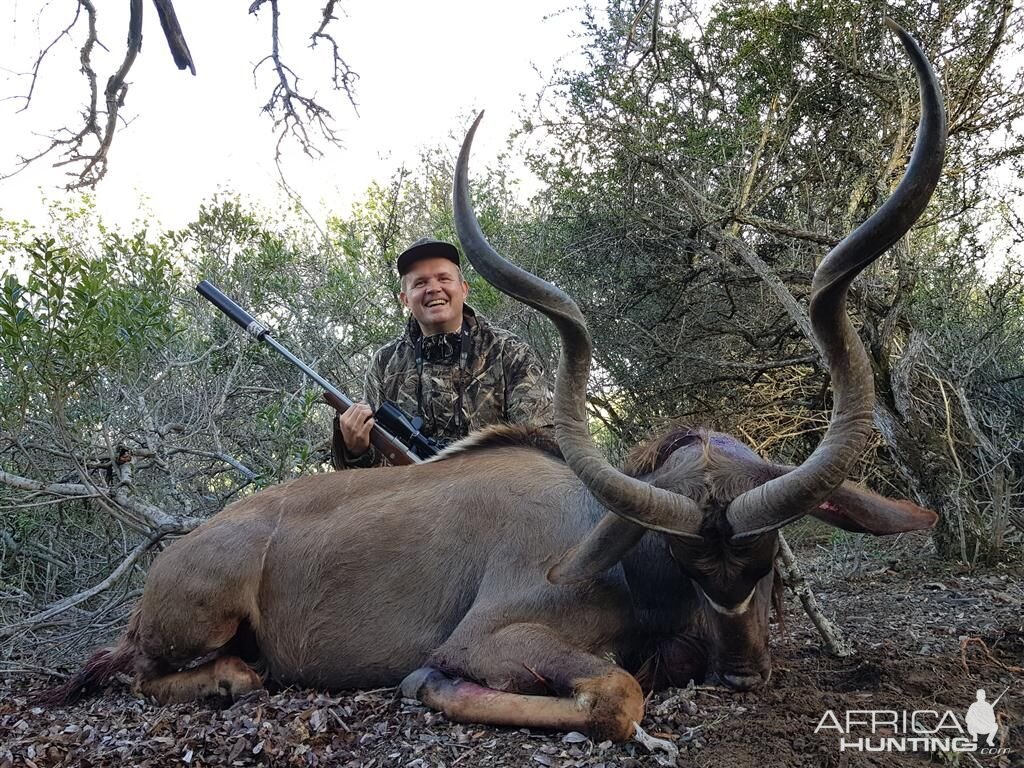 Kudu Hunt South Africa