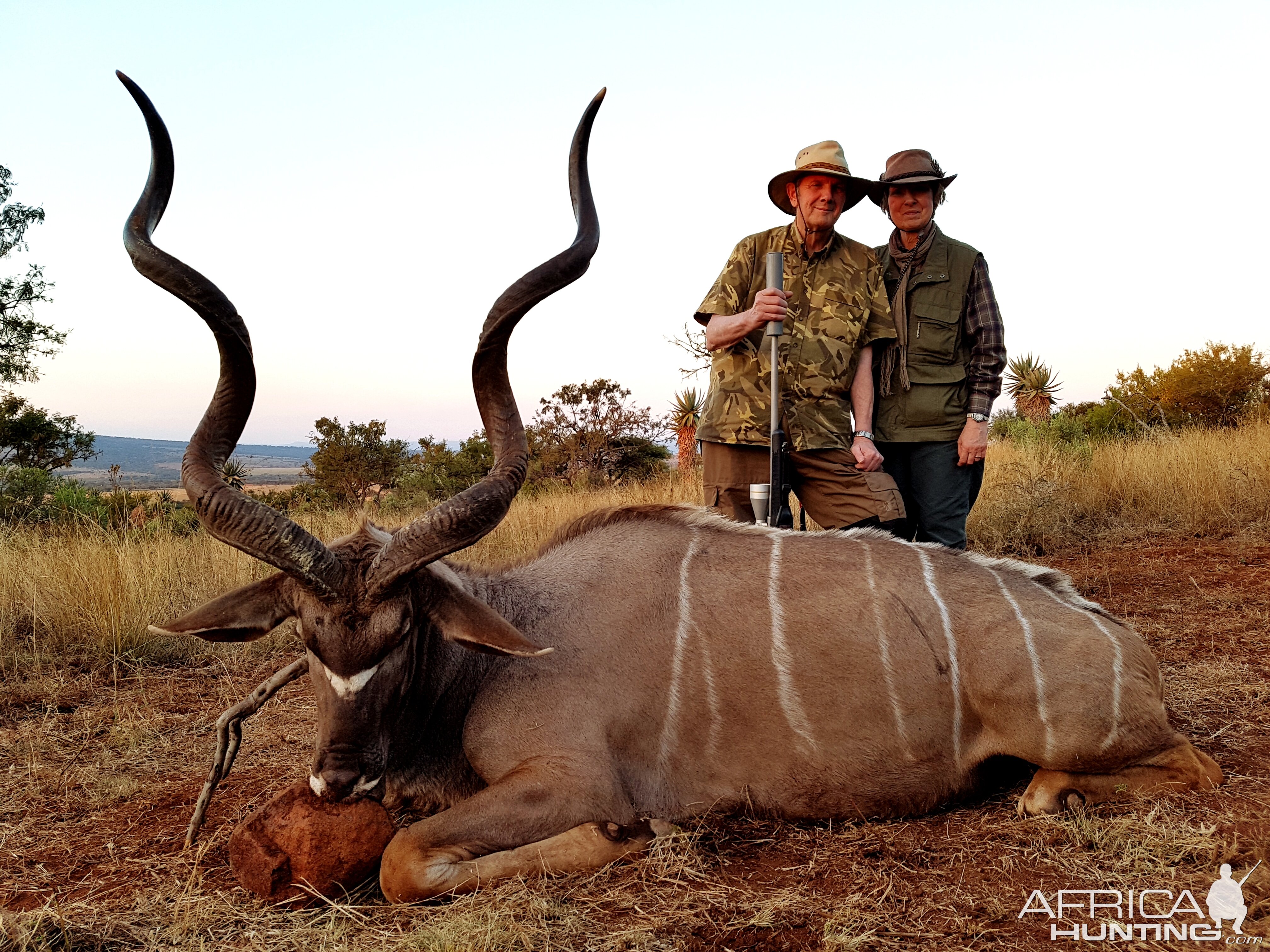 Kudu Hunt South Africa