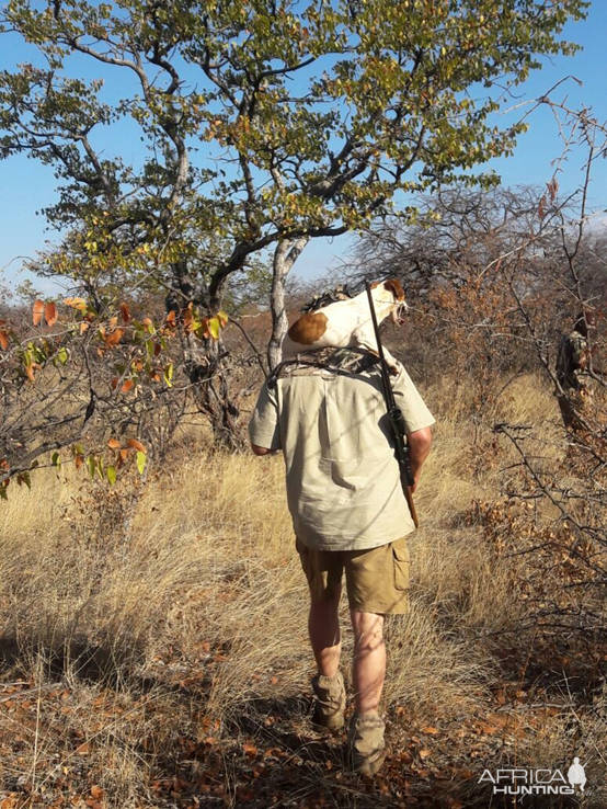 Kudu Hunt South Africa