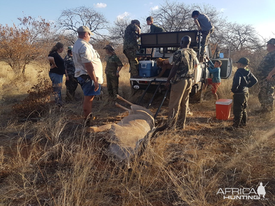 Kudu Hunt South Africa