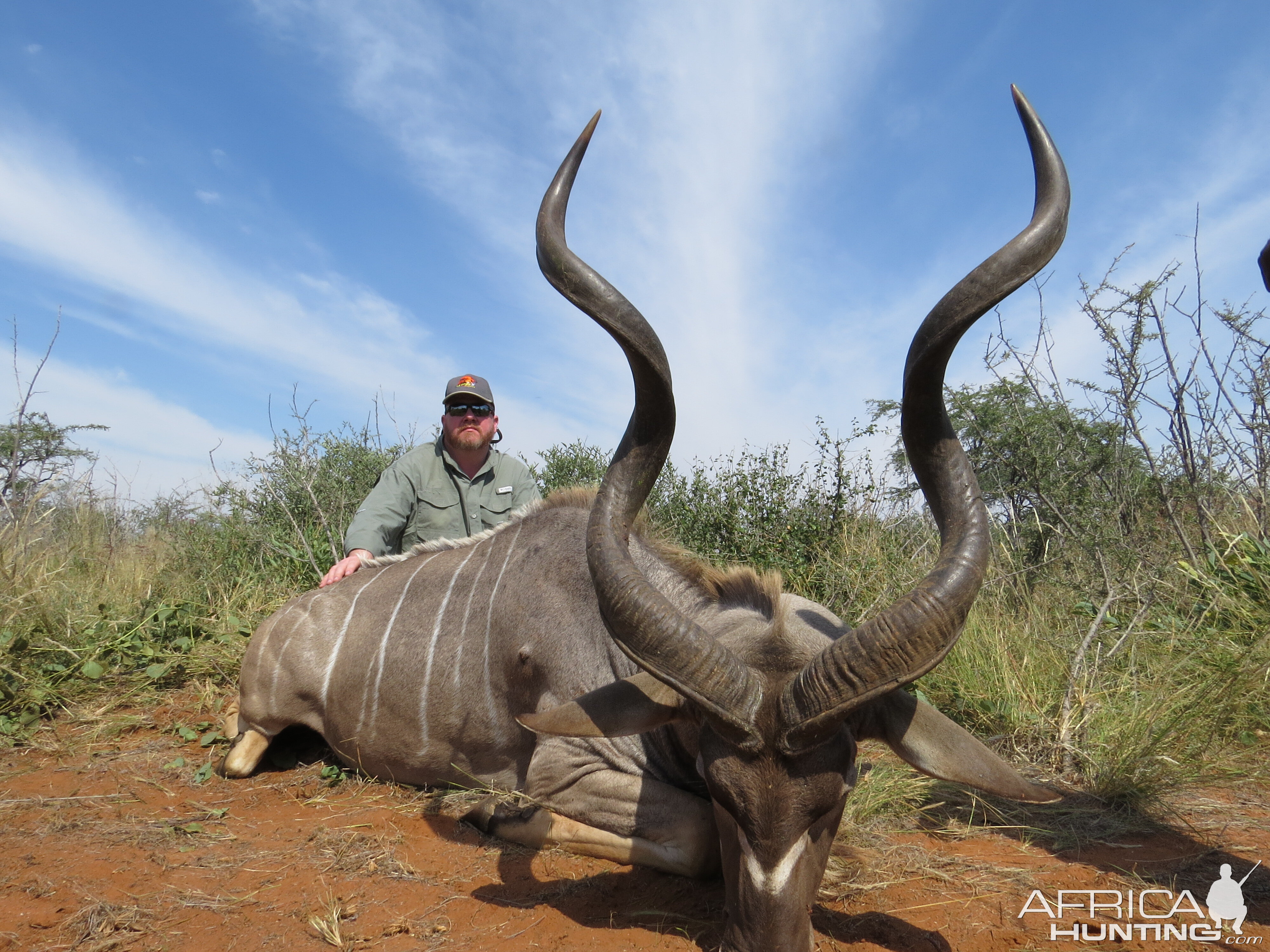 Kudu Hunt South Africa