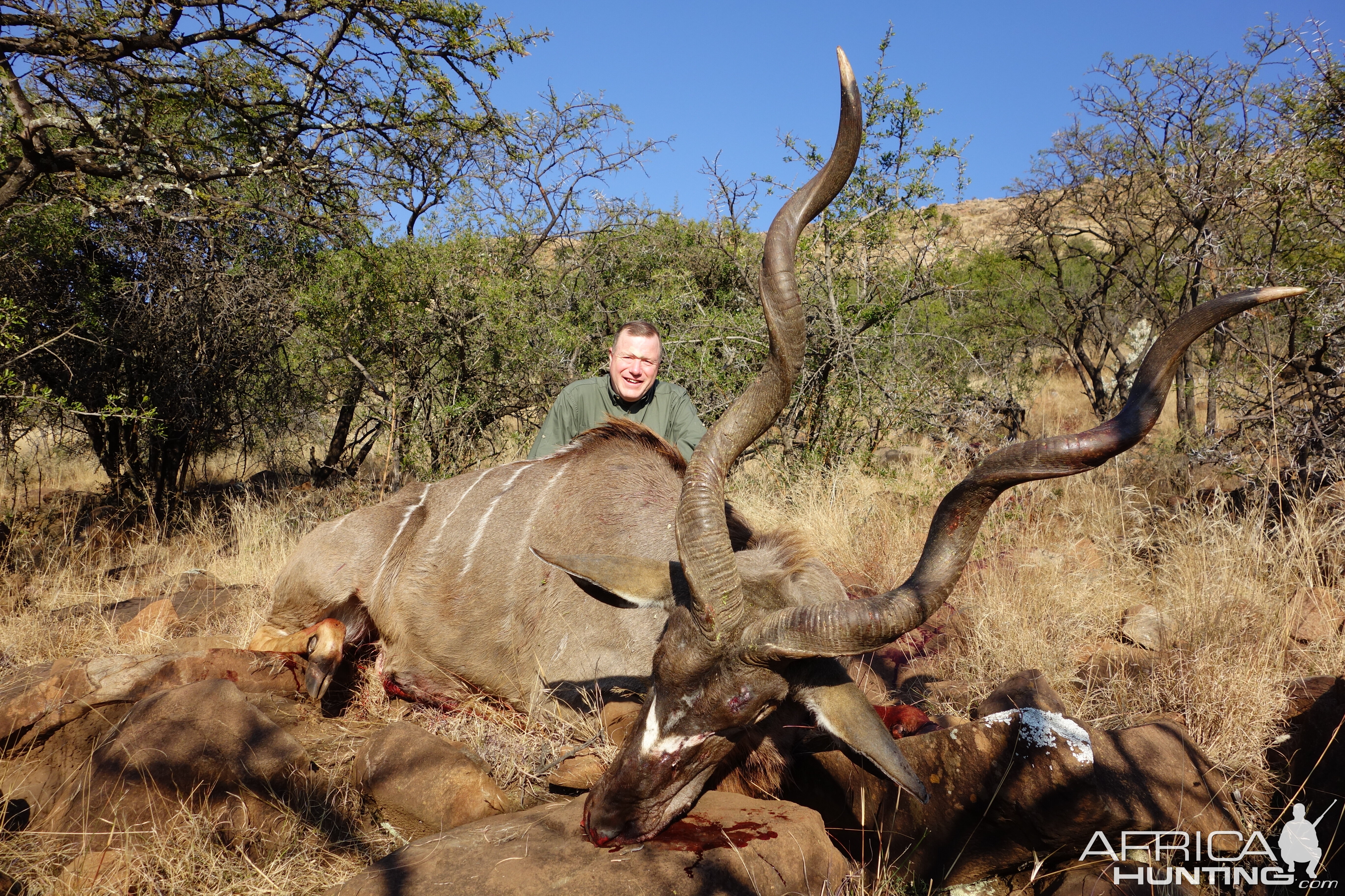 Kudu Hunt South Africa