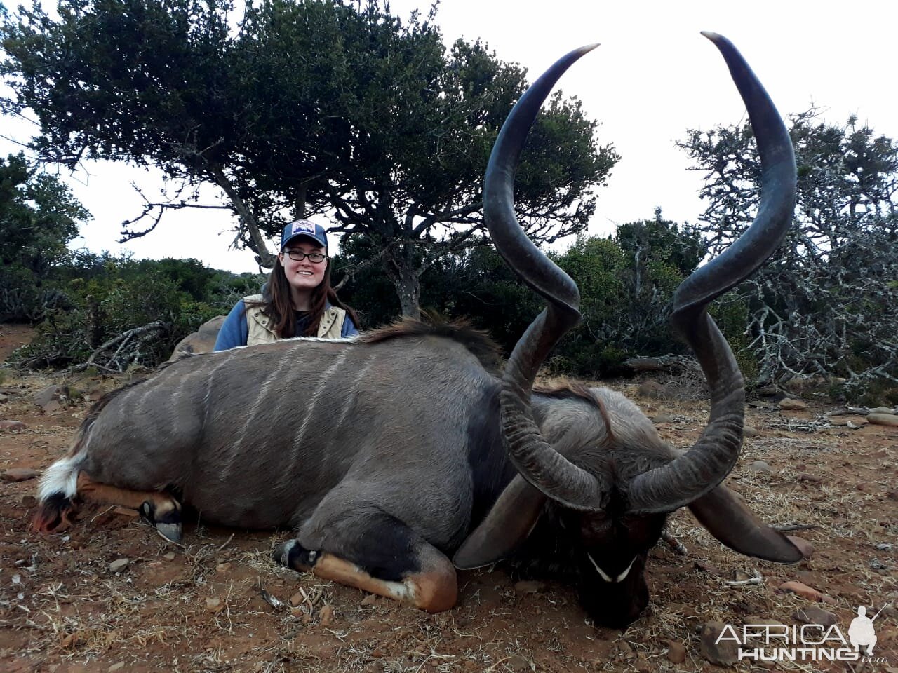 Kudu Hunt South Africa