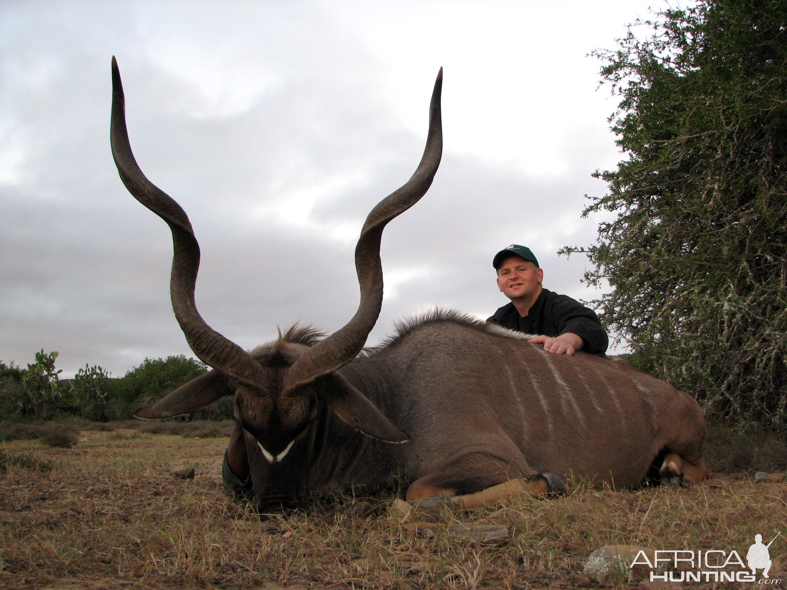 Kudu Hunt South Africa