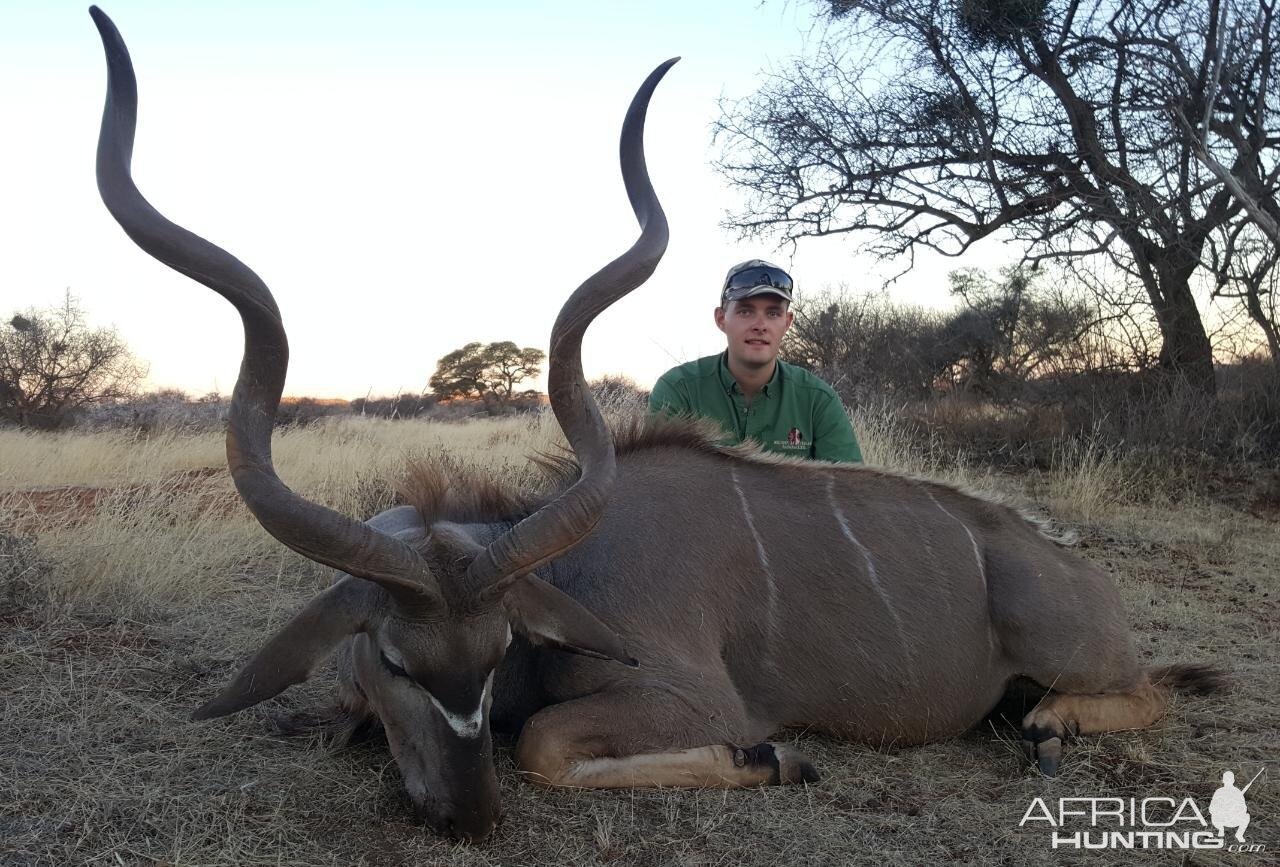 Kudu Hunt South Africa