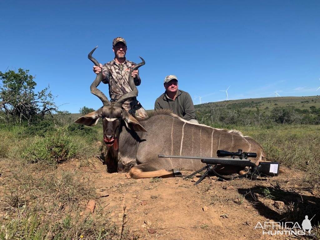 Kudu Hunt South Africa