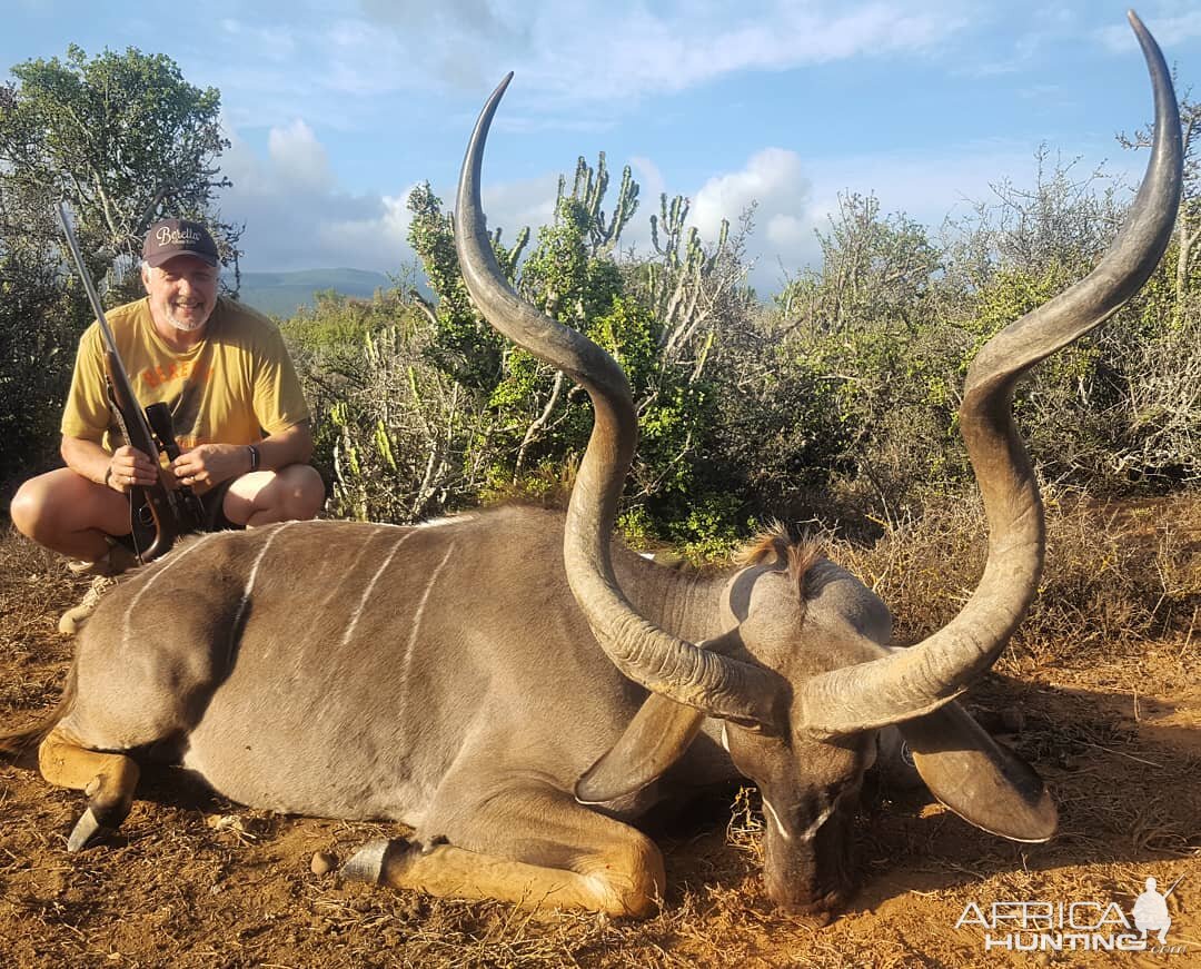 Kudu Hunt South Africa