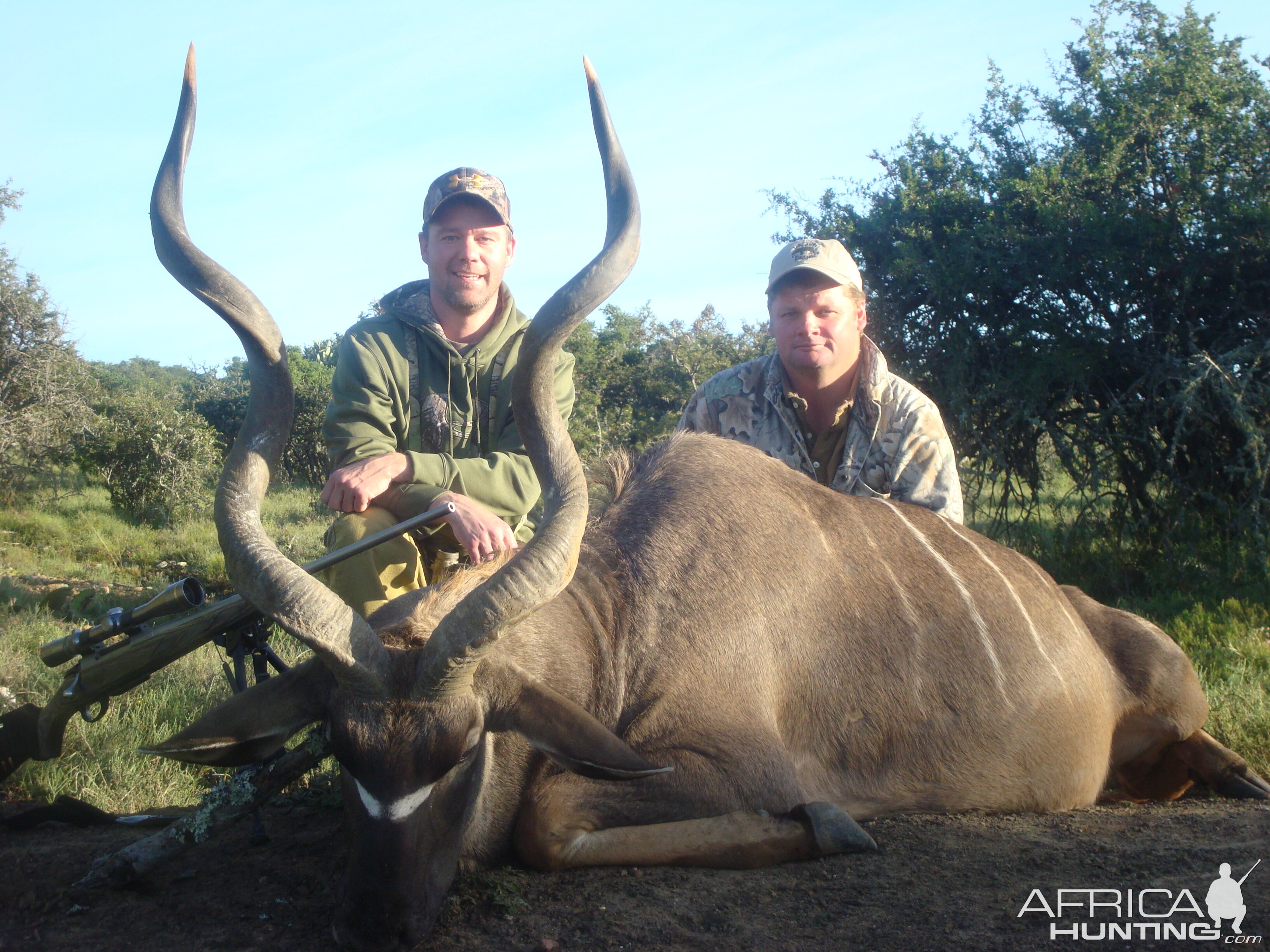 Kudu Hunt South Africa