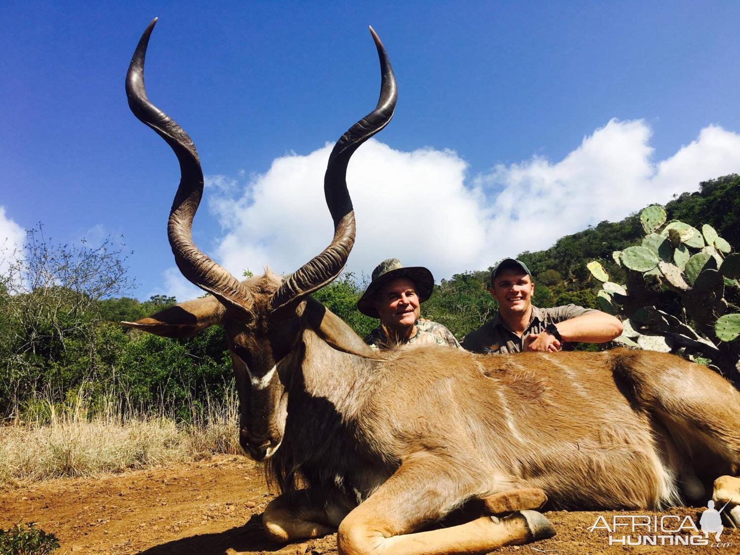 Kudu Hunt South Africa