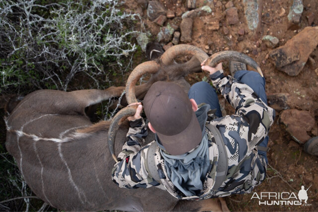 Kudu Hunt South Africa