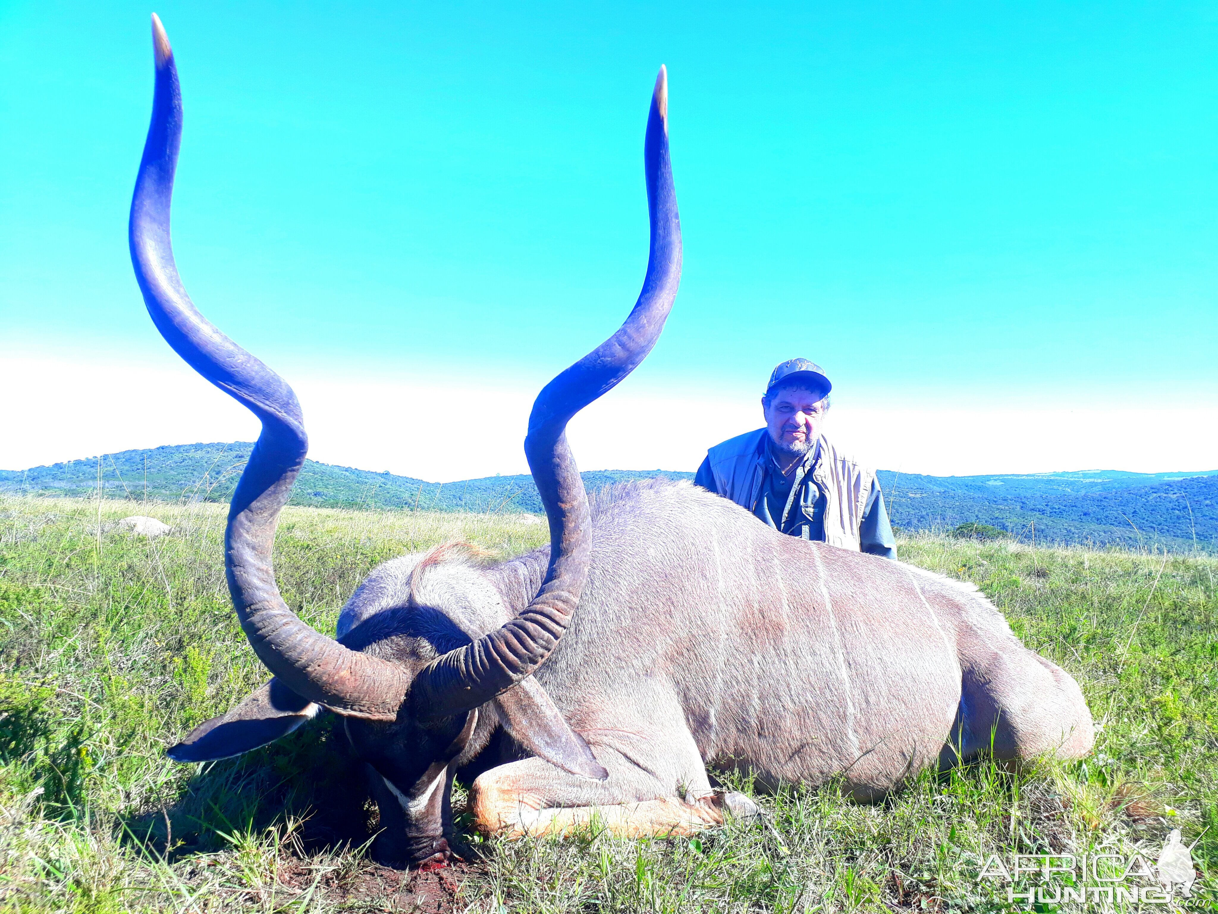 Kudu Hunt South Africa