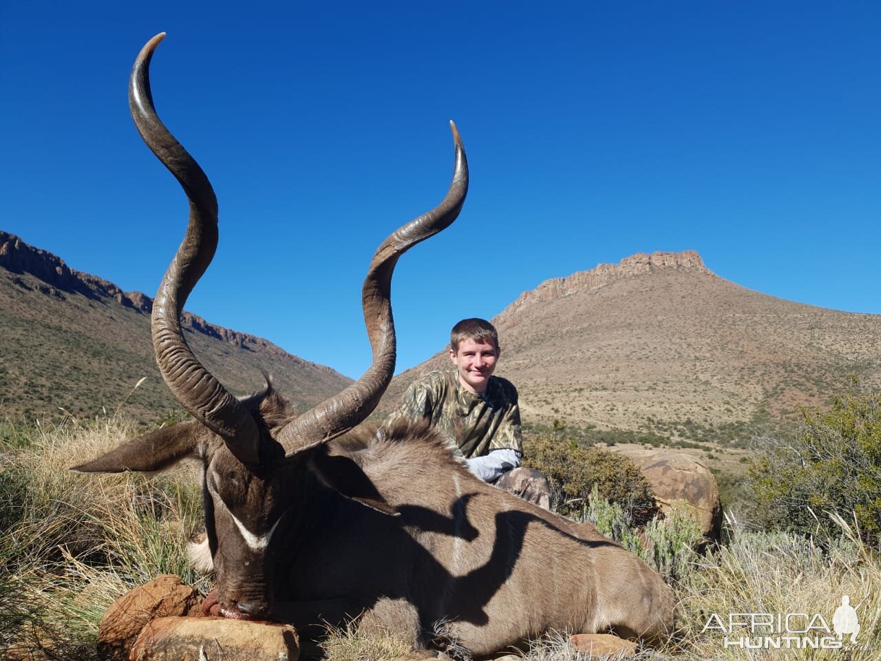 Kudu Hunt South Africa