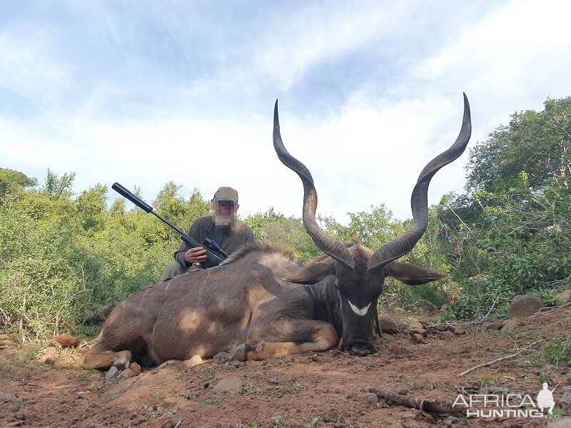 Kudu Hunt South Africa