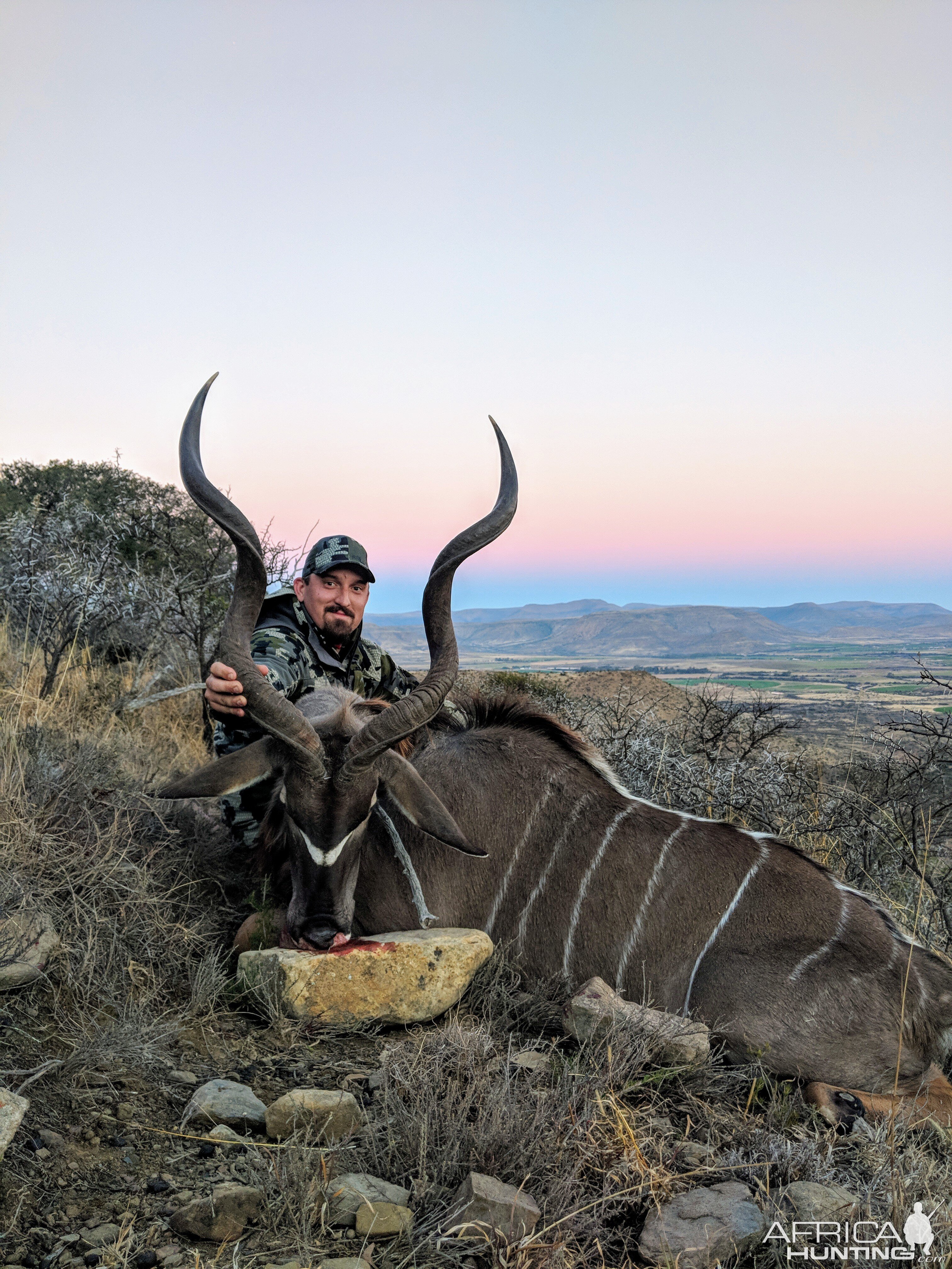 Kudu Hunt South Africa