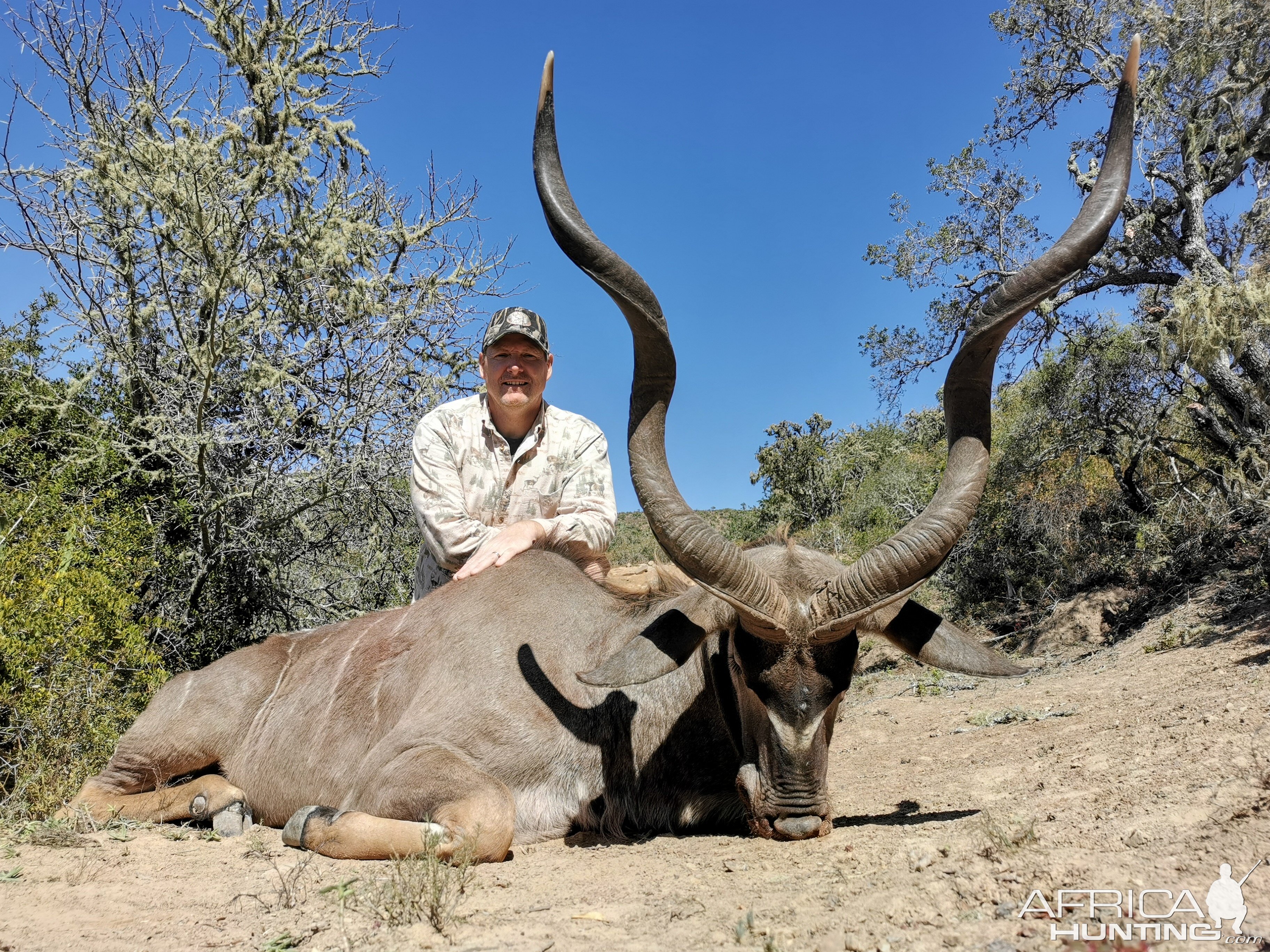 Kudu Hunt South Africa