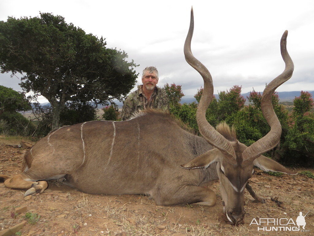 Kudu Hunt South Africa