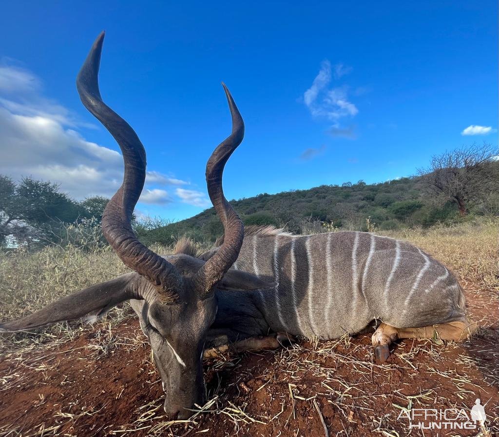 Kudu Hunt Tanzania Masailand