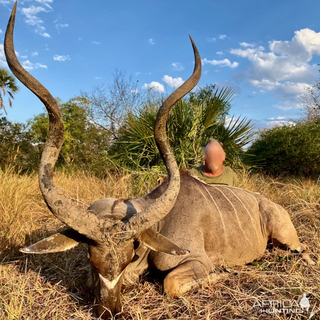 Kudu Hunt Tanzania Selous