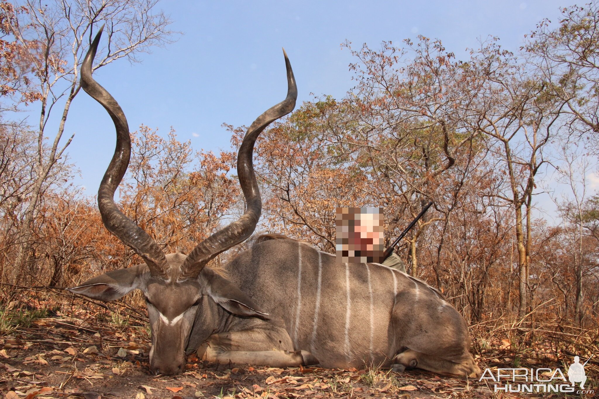 Kudu Hunt Tanzania