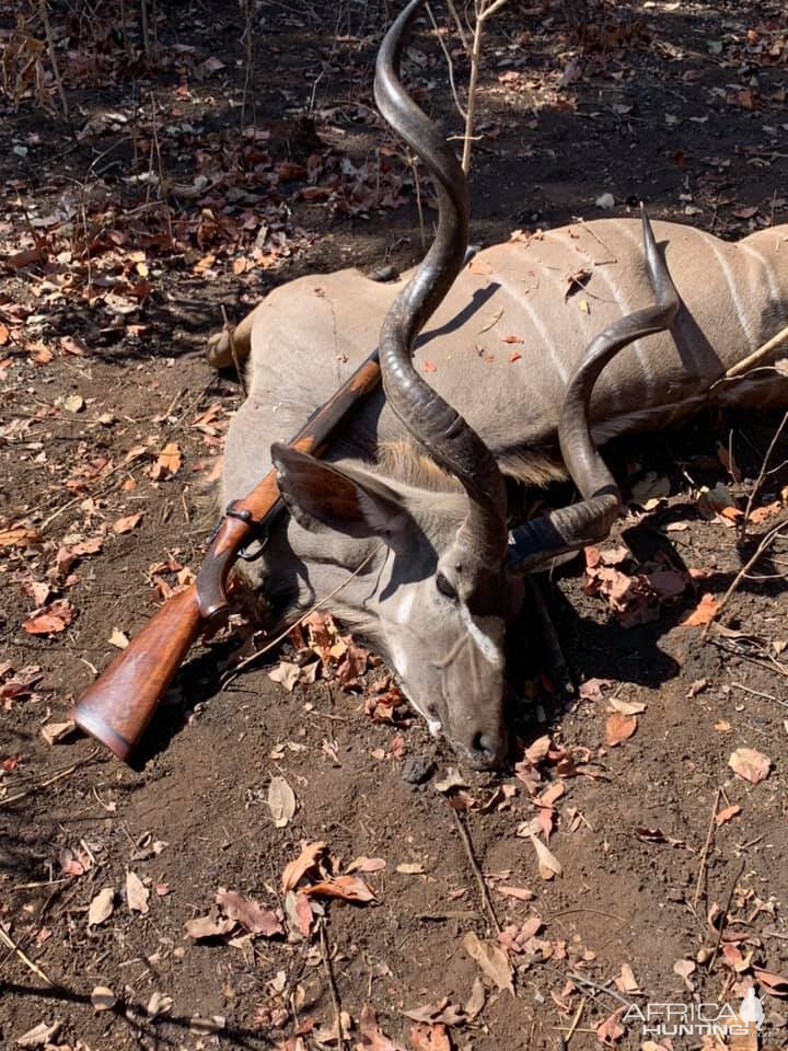 Kudu Hunt Zambia