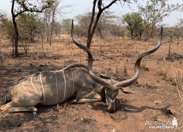 Kudu Hunt Zimbabwe