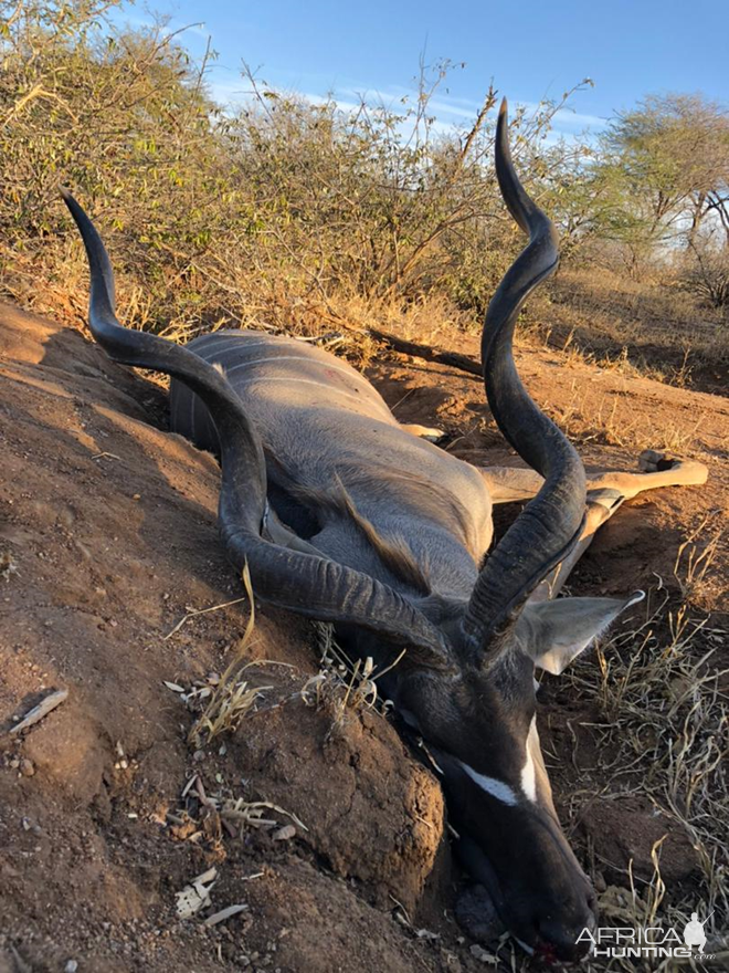 Kudu Hunt Zimbabwe