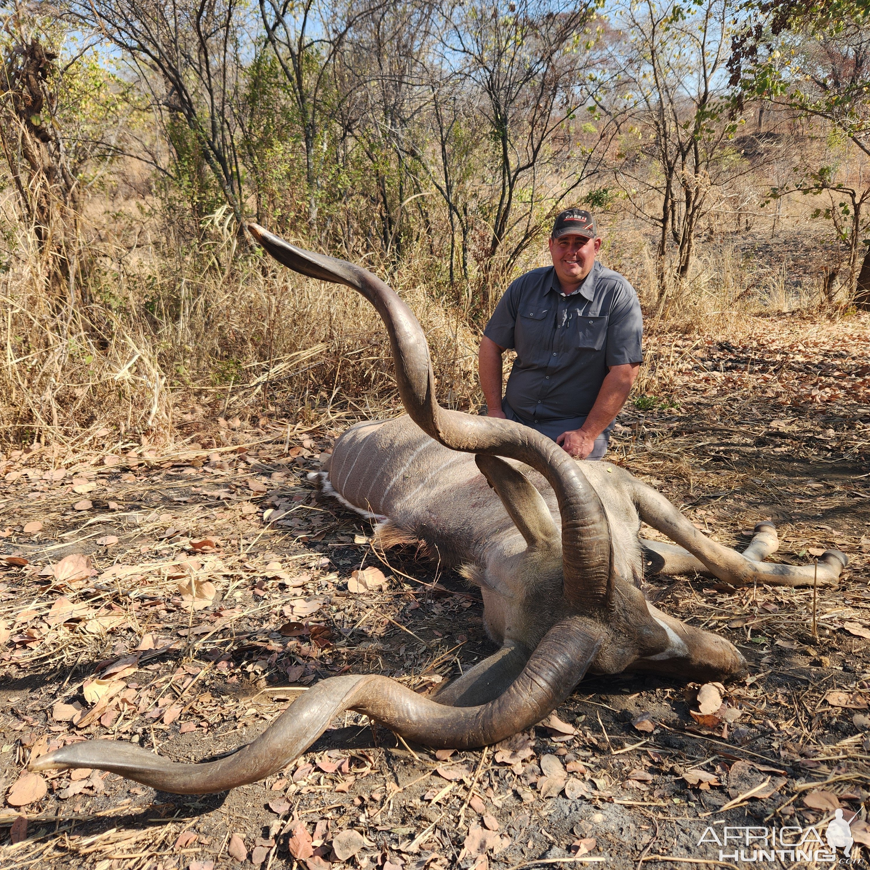 Kudu Hunt Zimbabwe